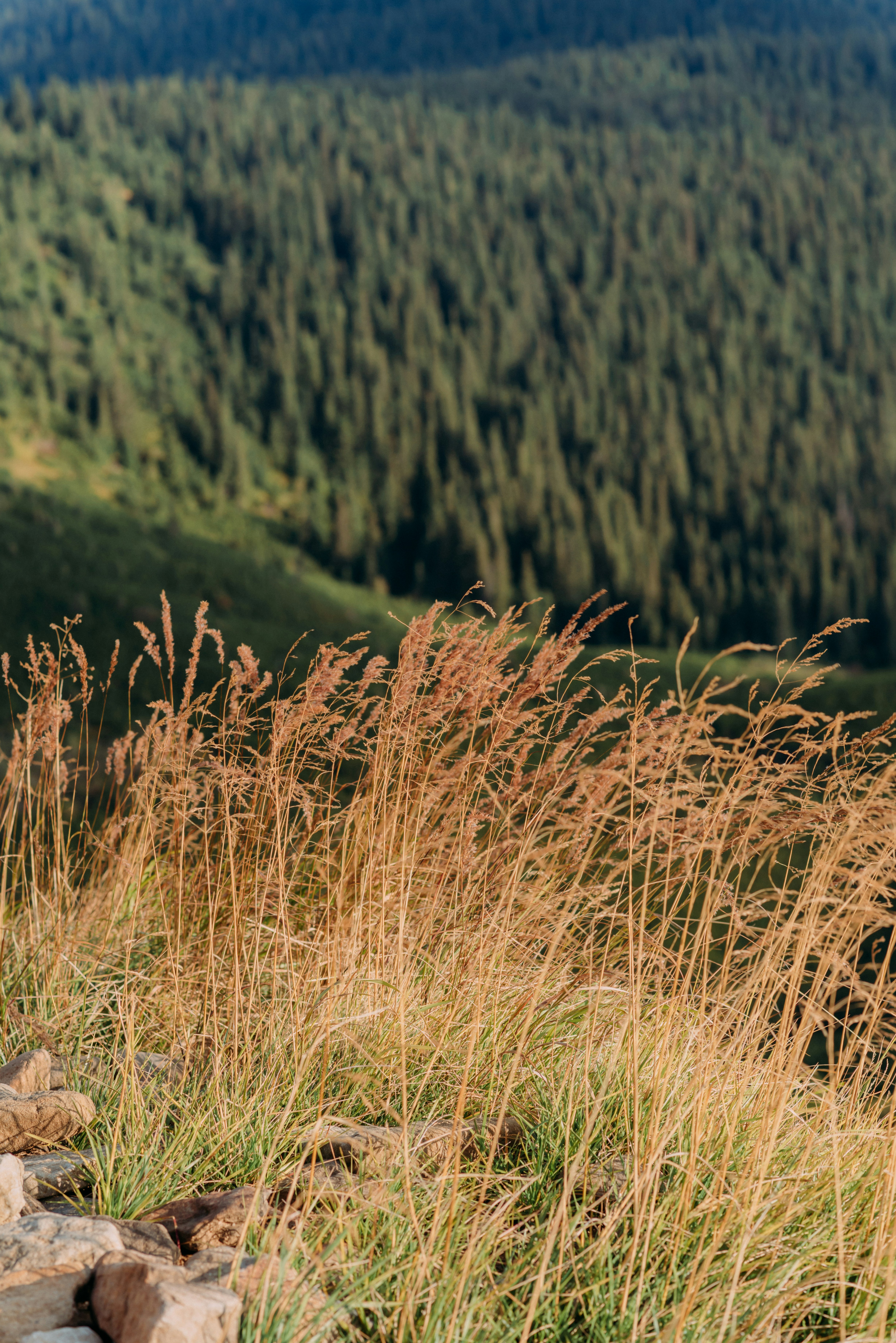 Photo by eugenivy_now