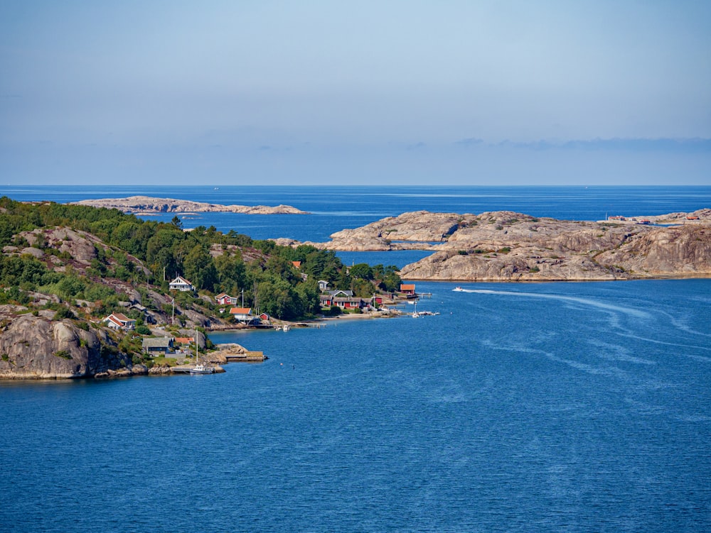 aerial view of green trees and blue sea during daytime