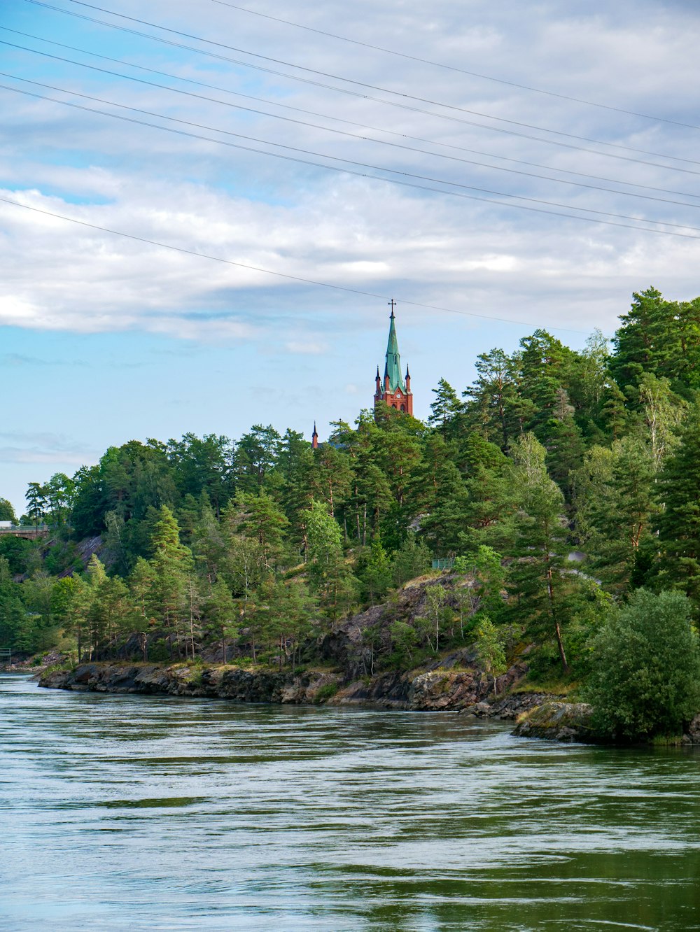 green trees beside body of water during daytime