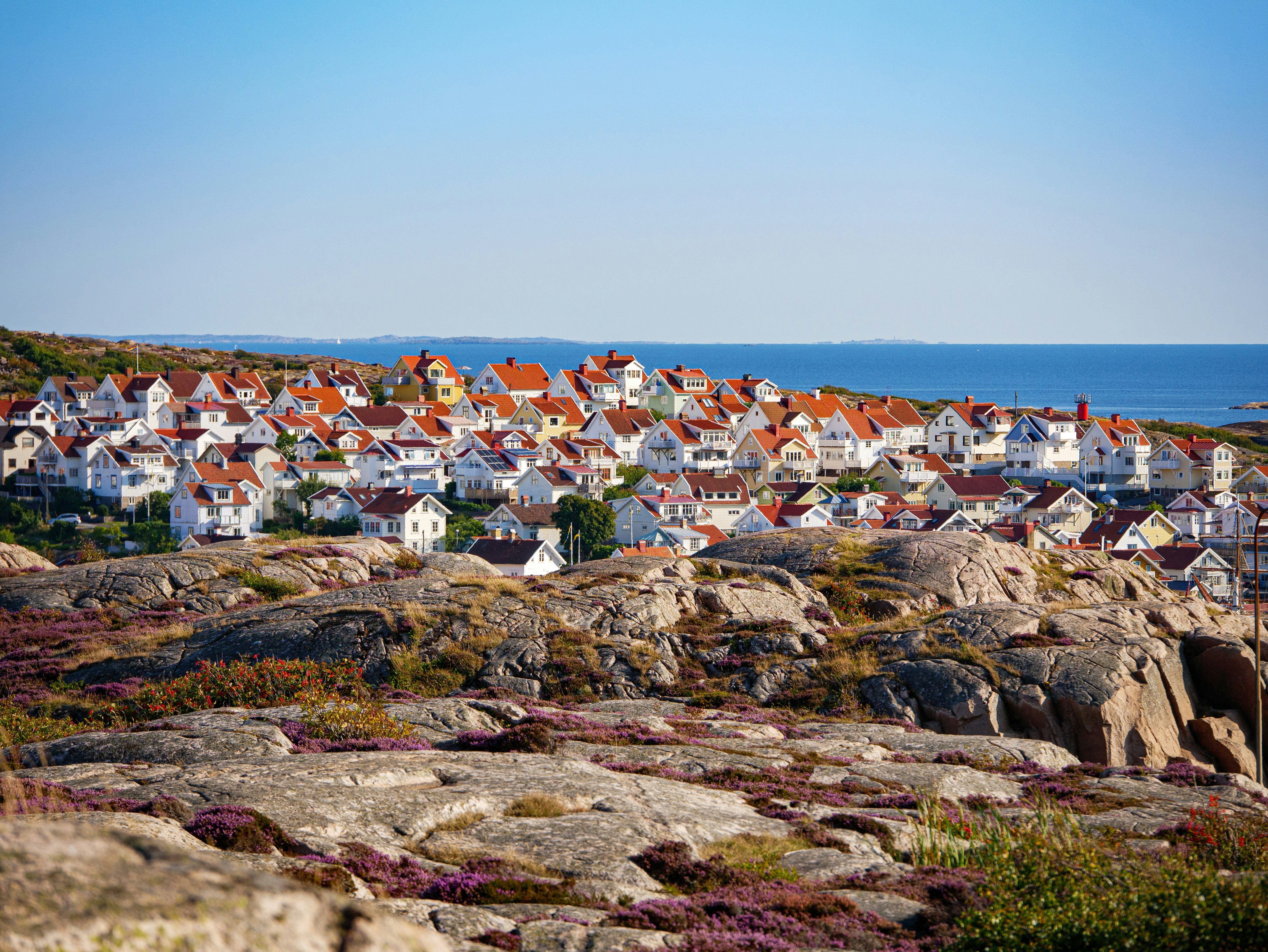 people on beach during daytime