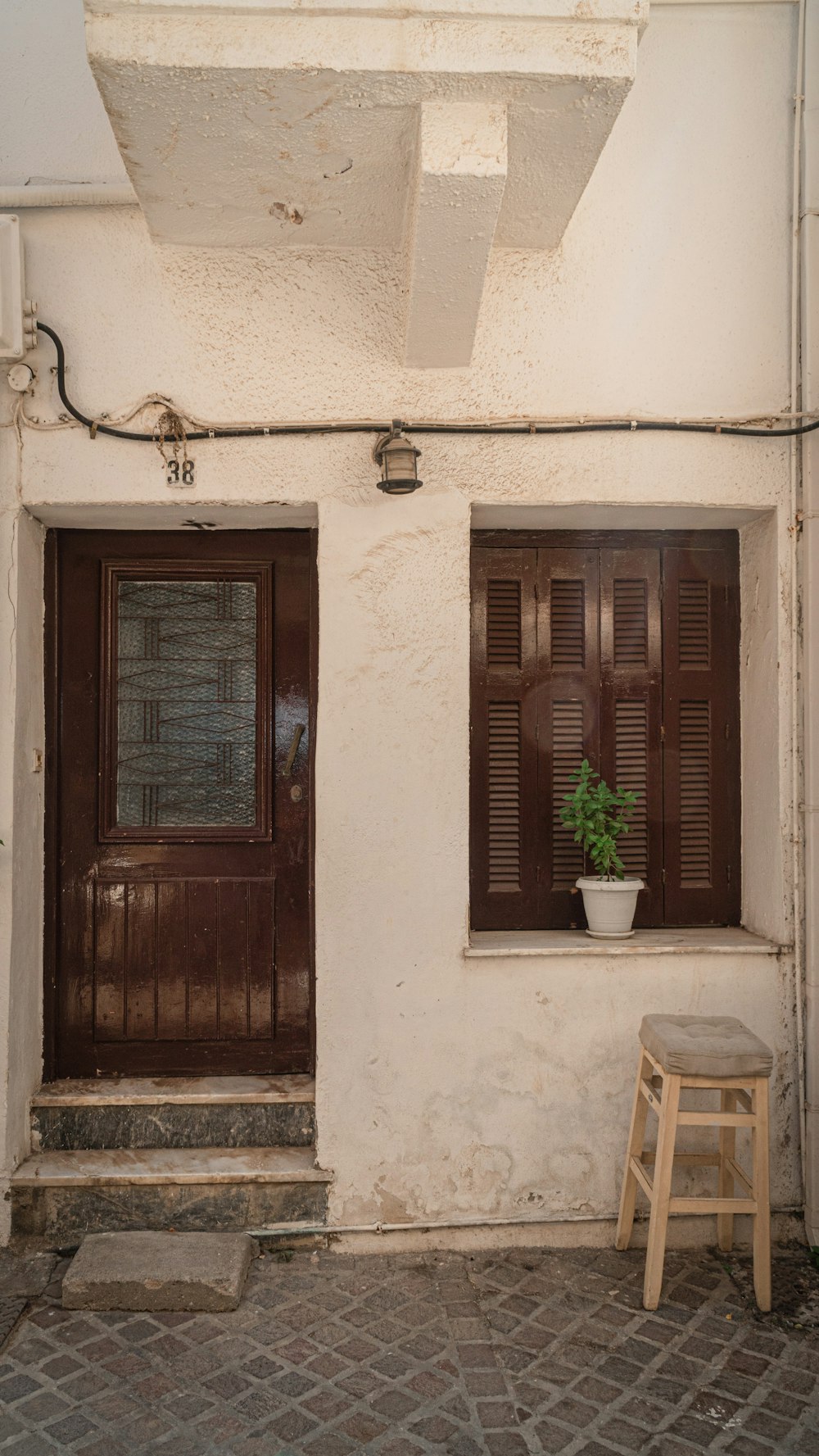 brown wooden door with green potted plant