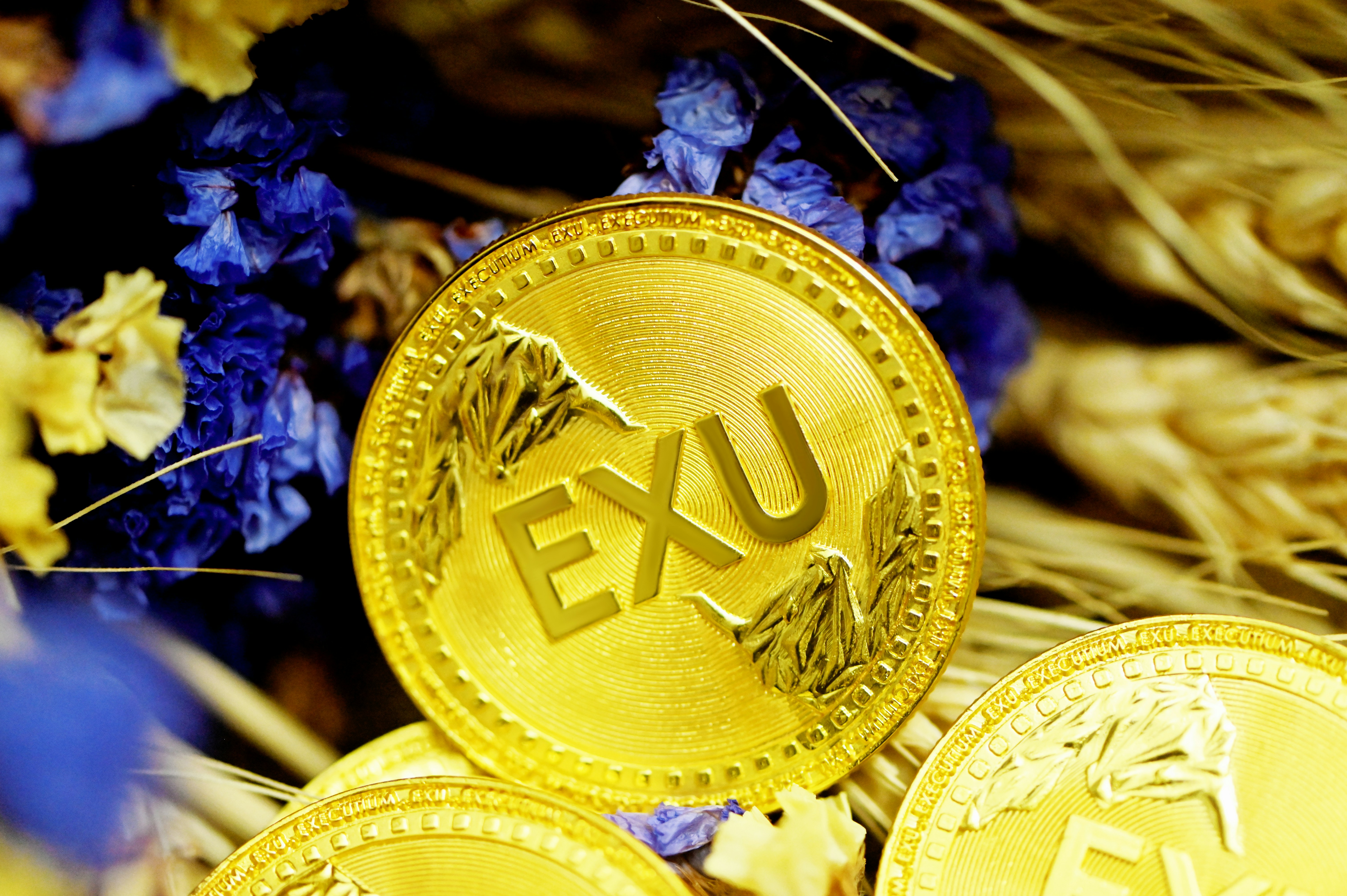 Exu coins on top of blue flowers and dried rice
