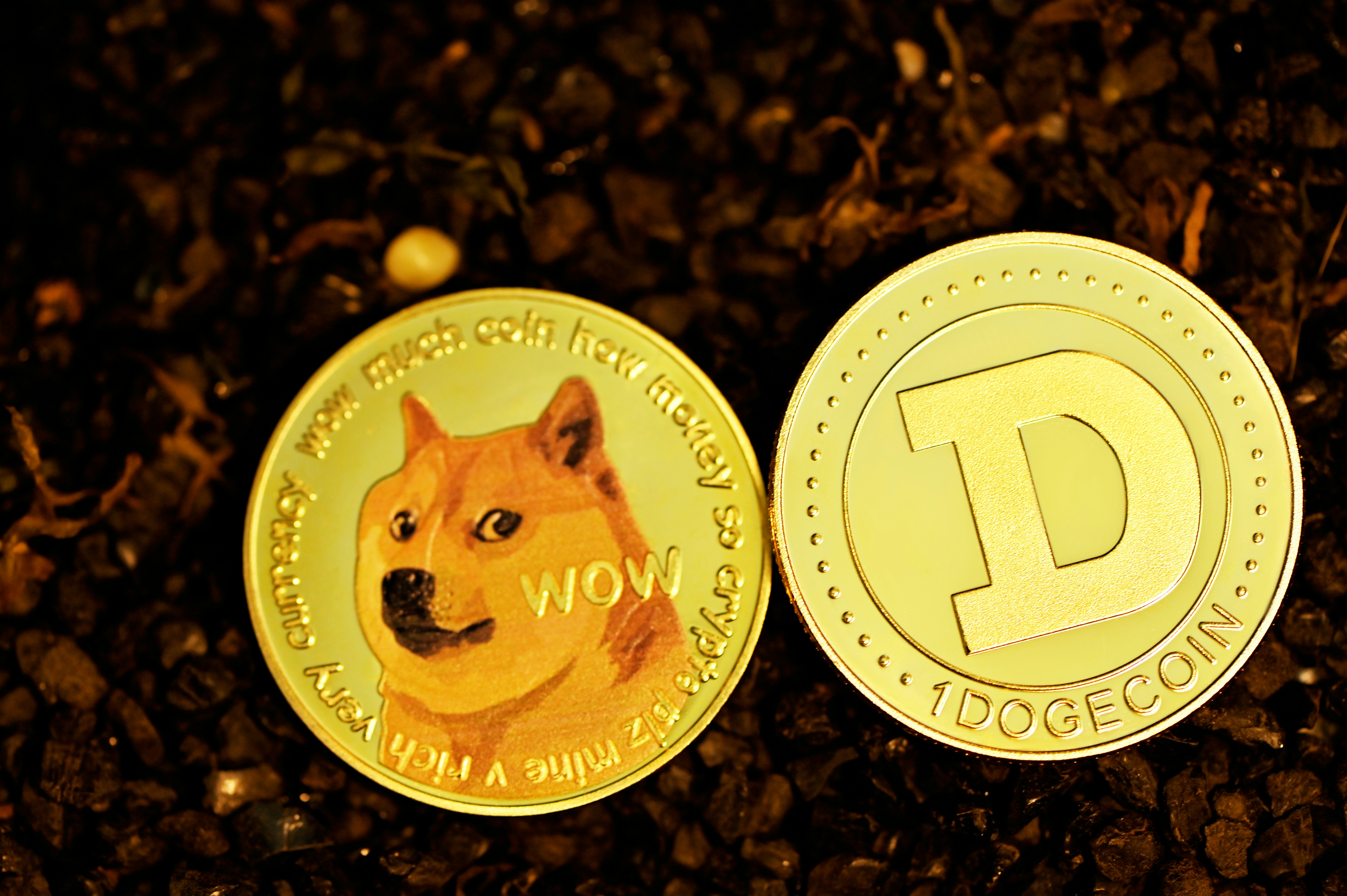 Two Dogecoin on the ground