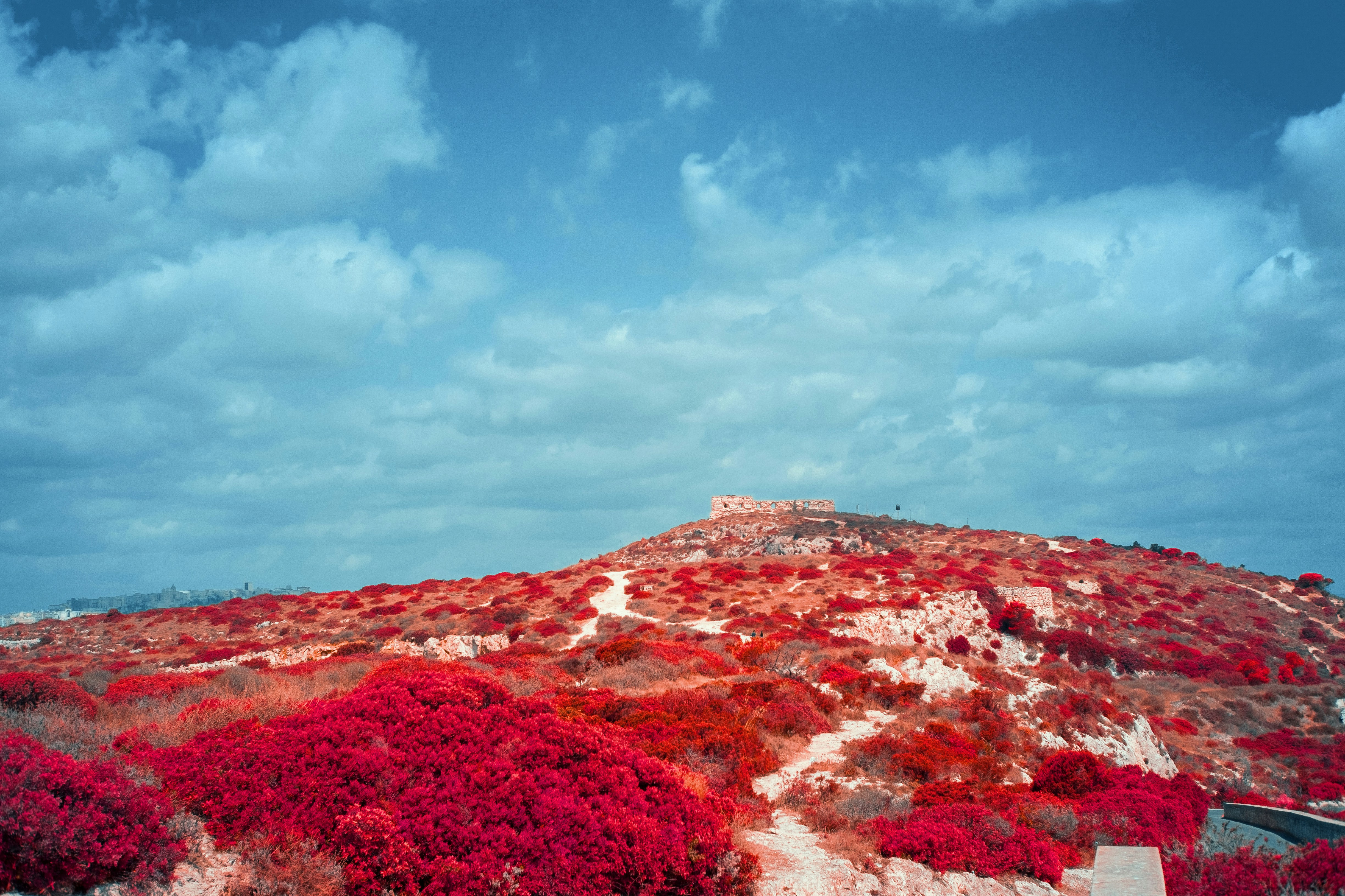 red and brown mountain under blue sky during daytime