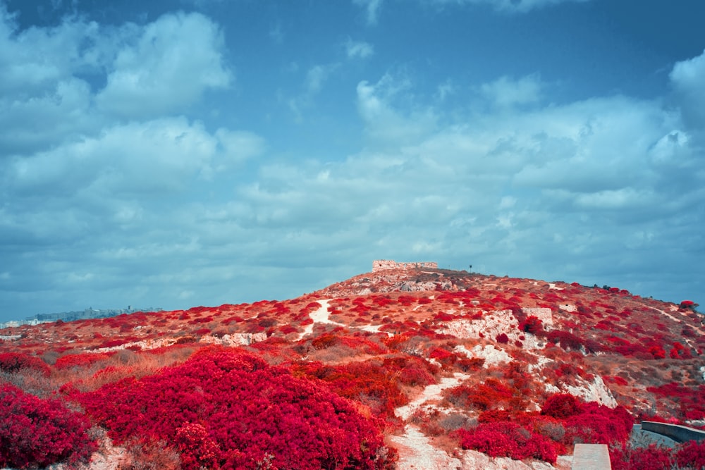 red and brown mountain under blue sky during daytime