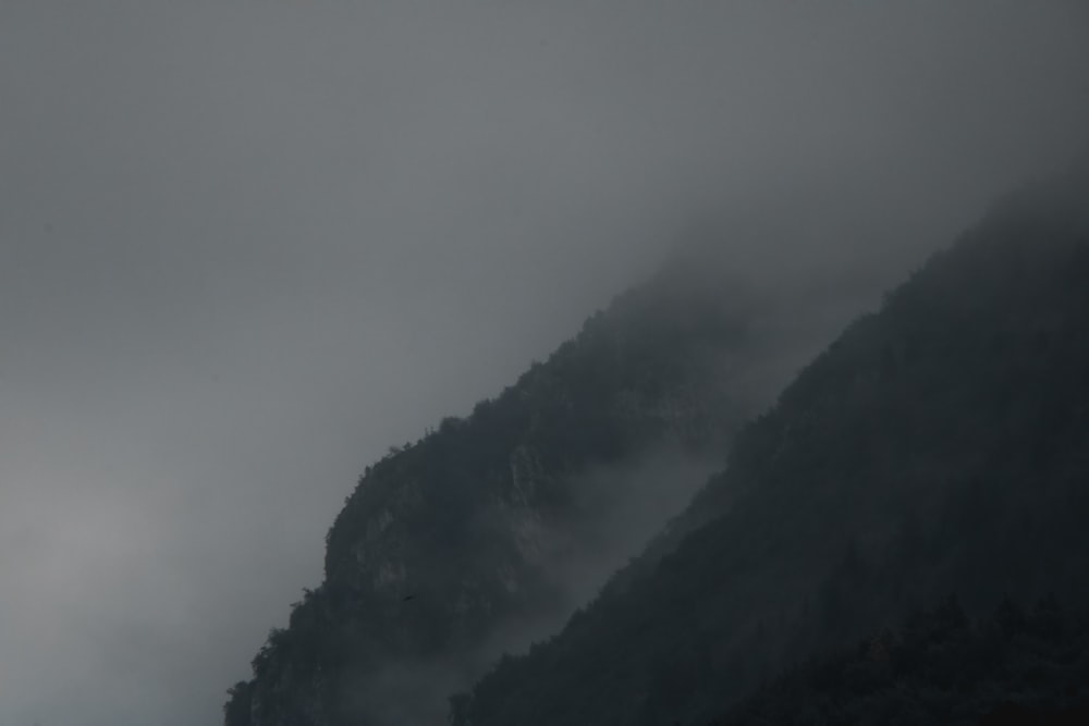 black mountain covered by white fog