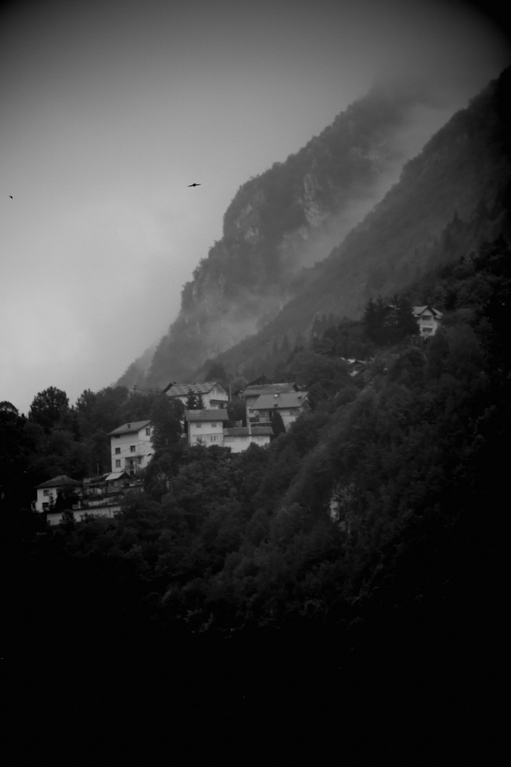 birds flying over the mountain