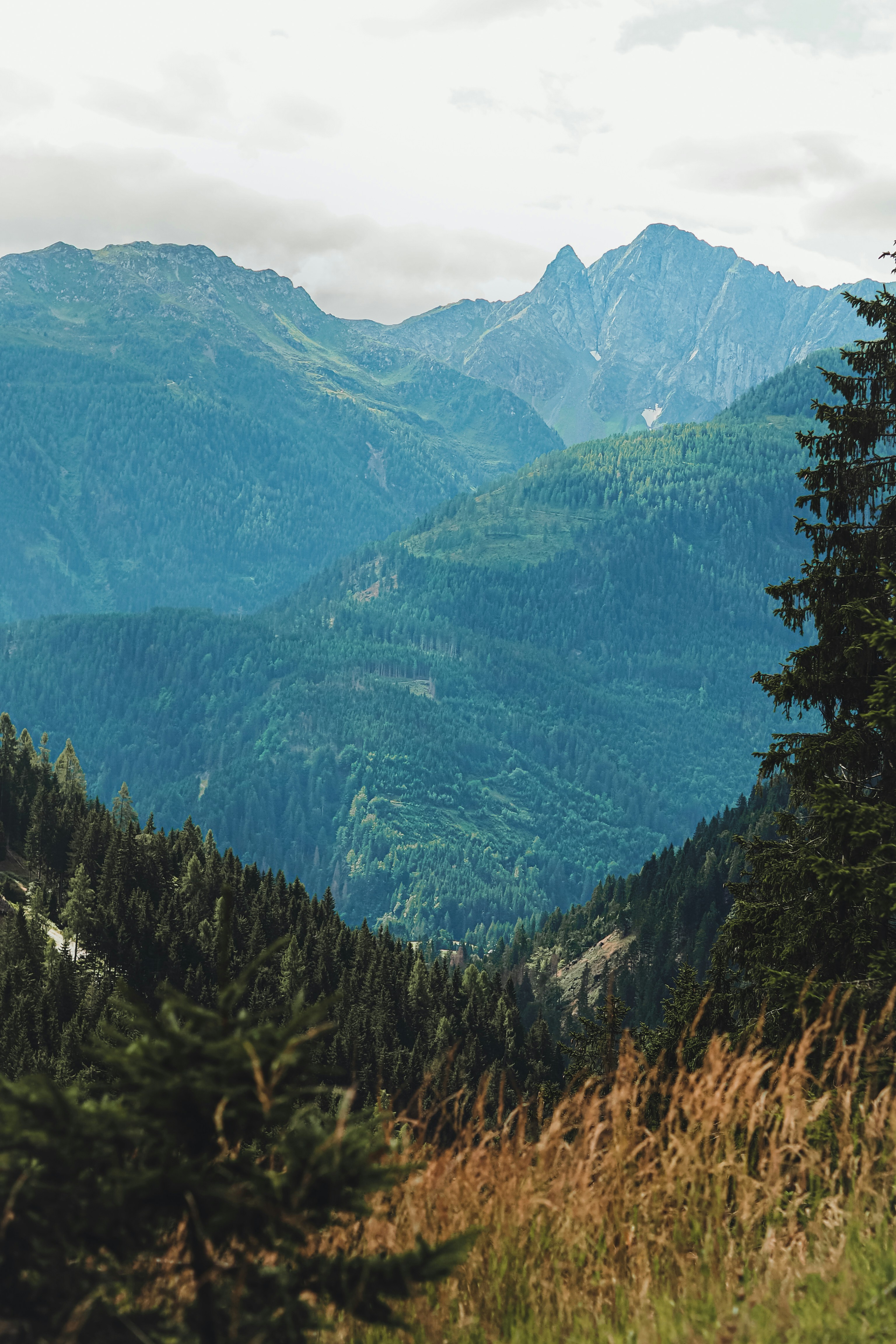 Photo by laurachouette