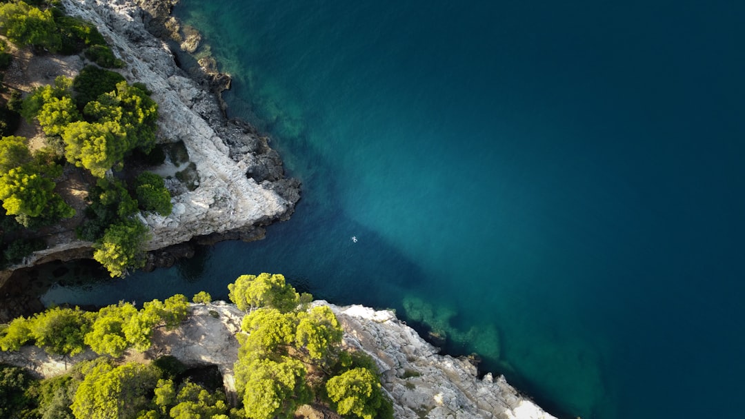 green and yellow moss on rocky shore during daytime