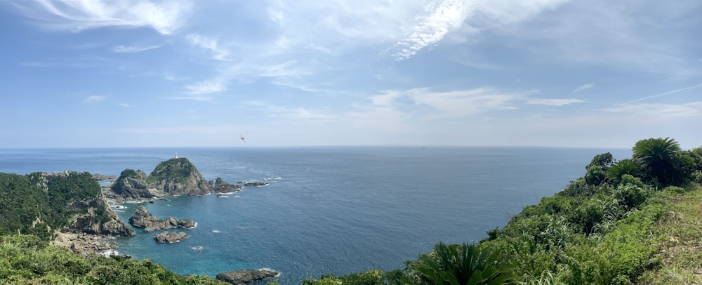 green trees beside blue sea under blue sky and white clouds during daytime