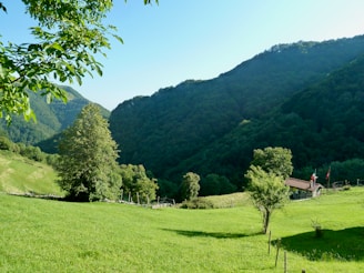 green grass field near green mountains under blue sky during daytime