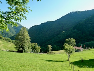 green grass field near green mountains under blue sky during daytime