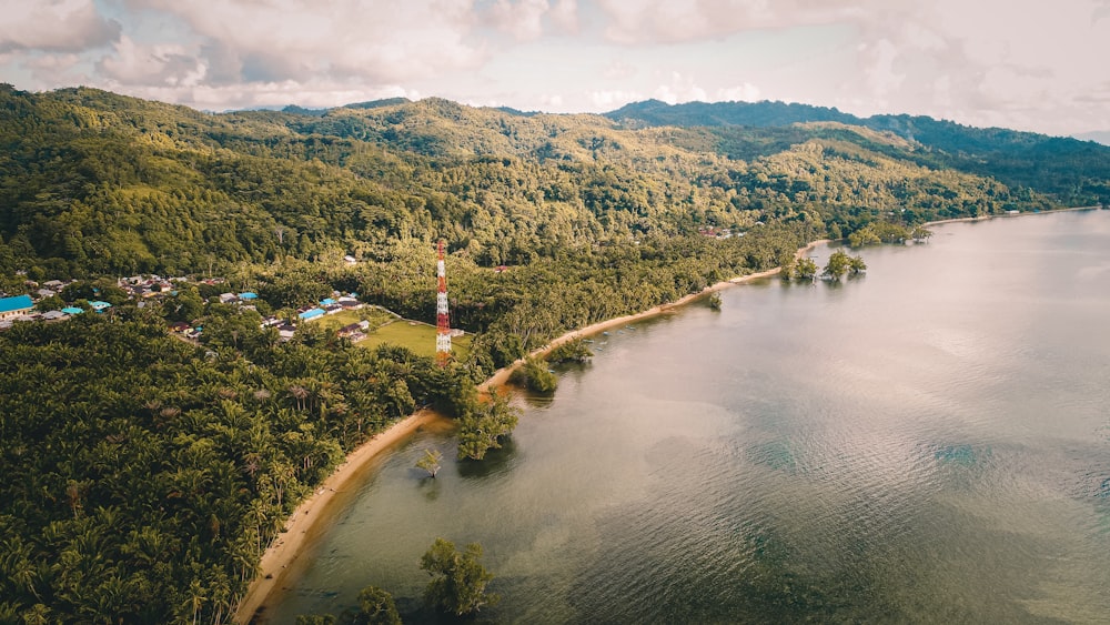 aerial view of river between green trees and mountains during daytime