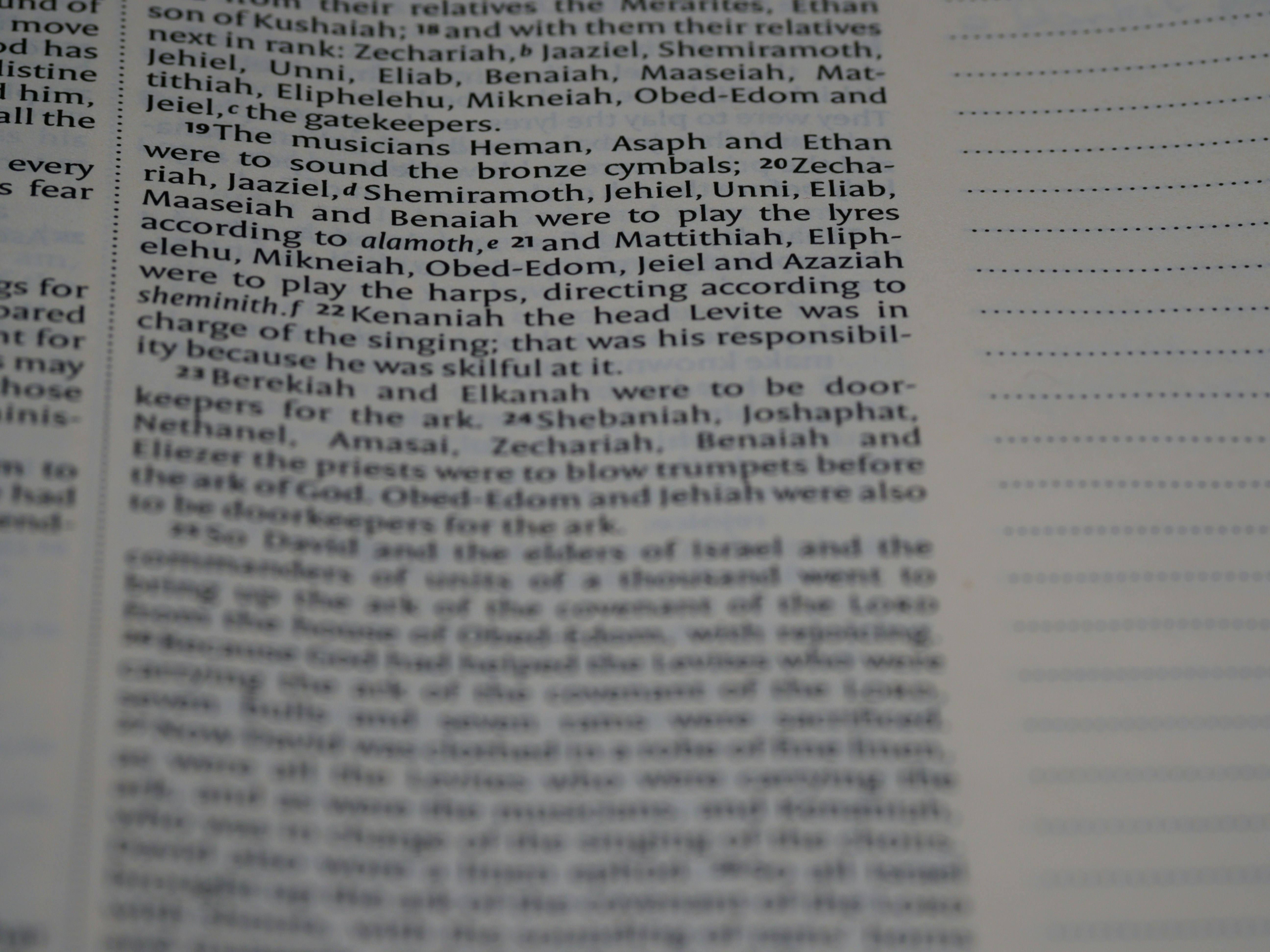 Photo by brett_jordan