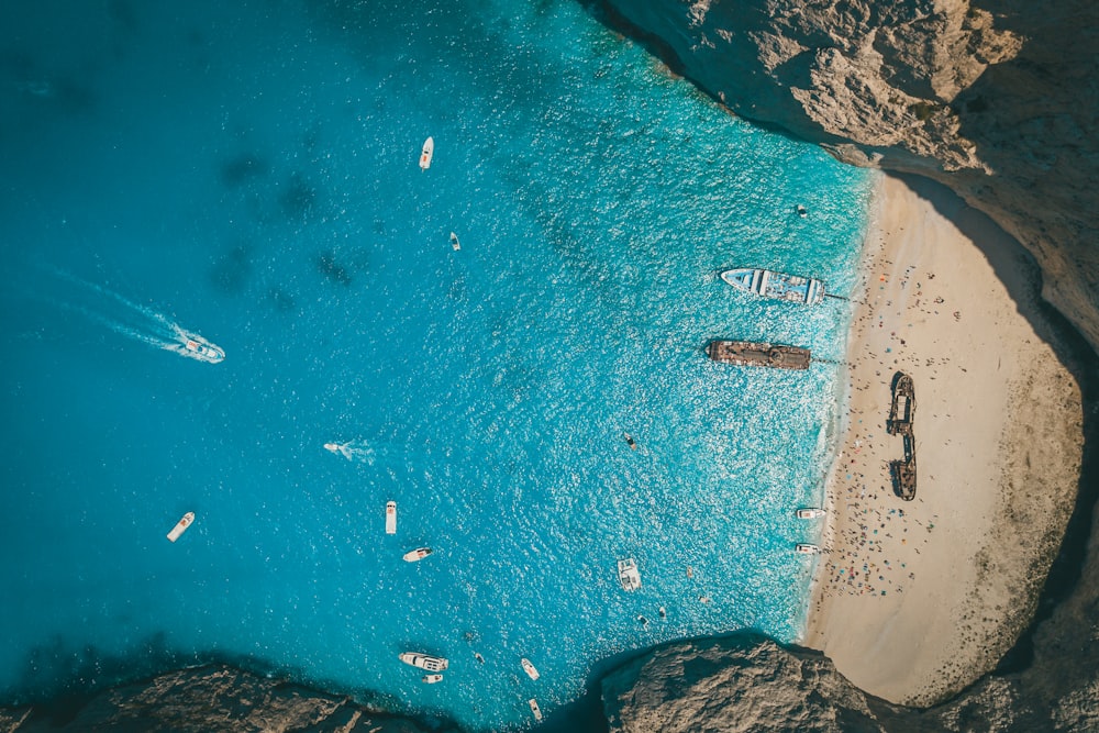 aerial view of people on beach during daytime