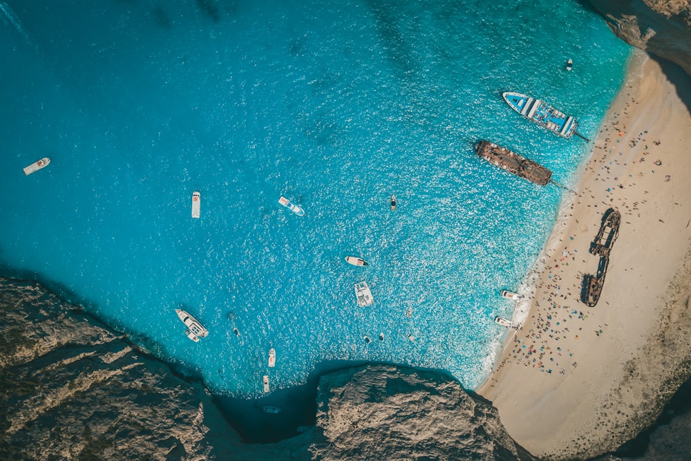 aerial view of people on beach during daytime