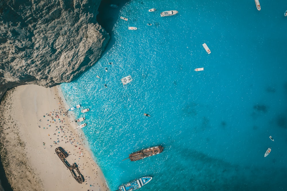 aerial view of people on beach during daytime