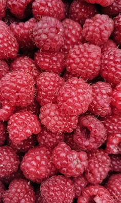A close-up view of numerous ripe raspberries clustered together, with a rich red color and a textured surface.