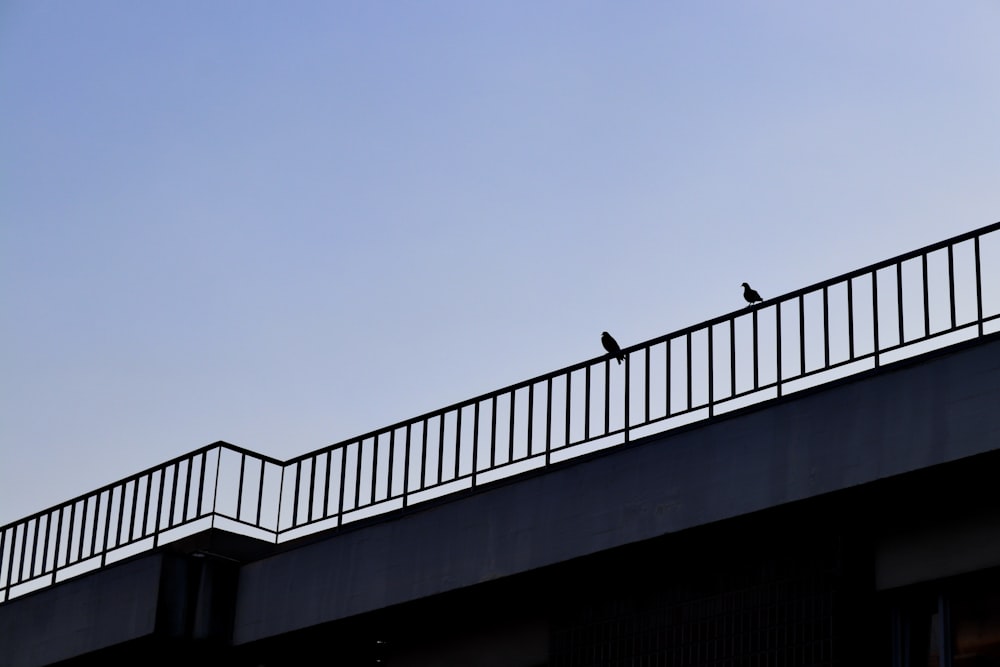 white and black concrete staircase under blue sky during daytime