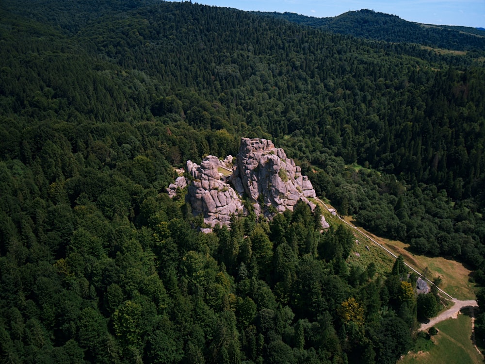 green trees on mountain during daytime