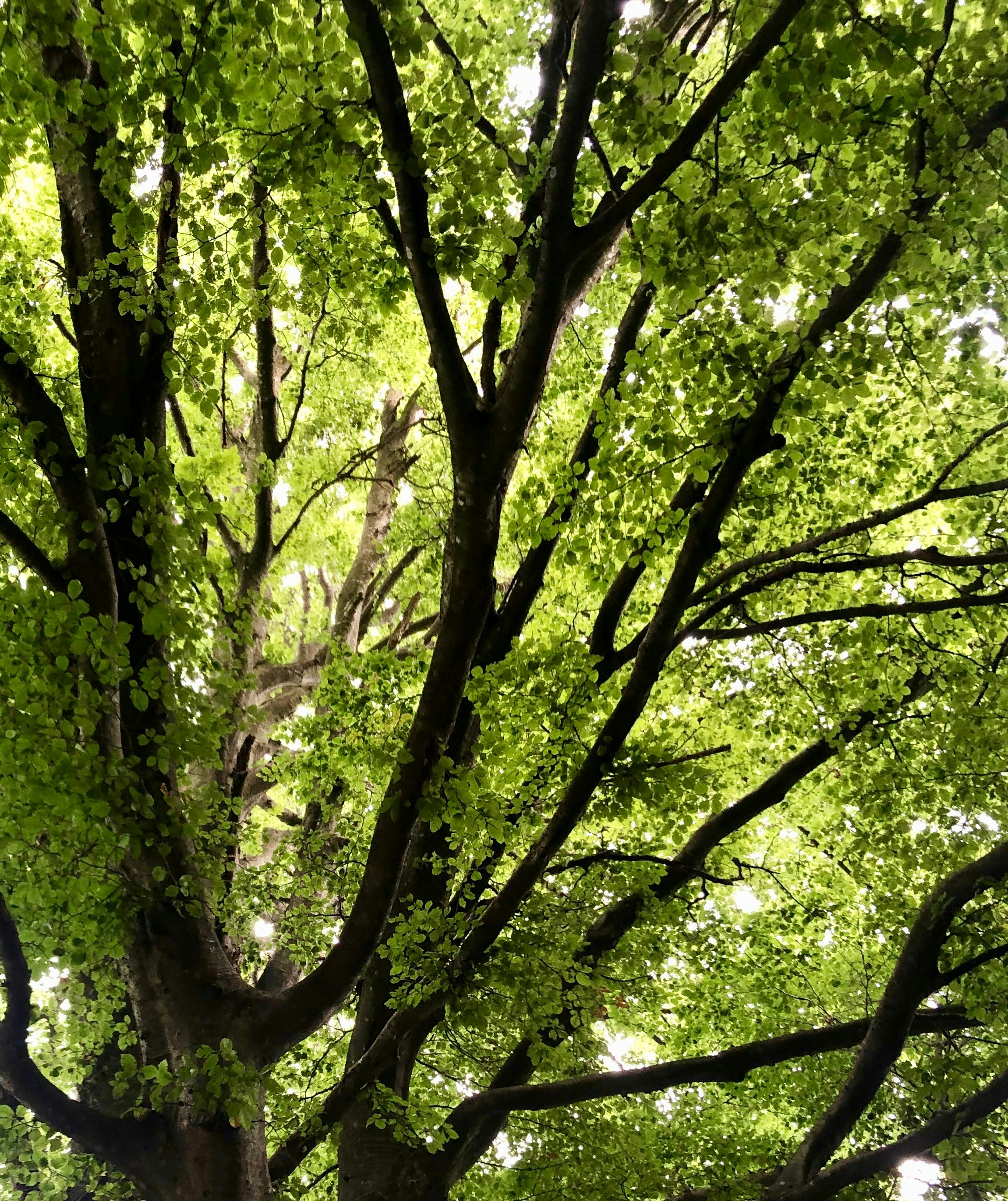 Photo by paolo_gregotti