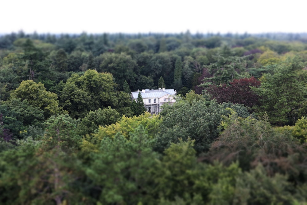 white concrete building surrounded by green trees during daytime