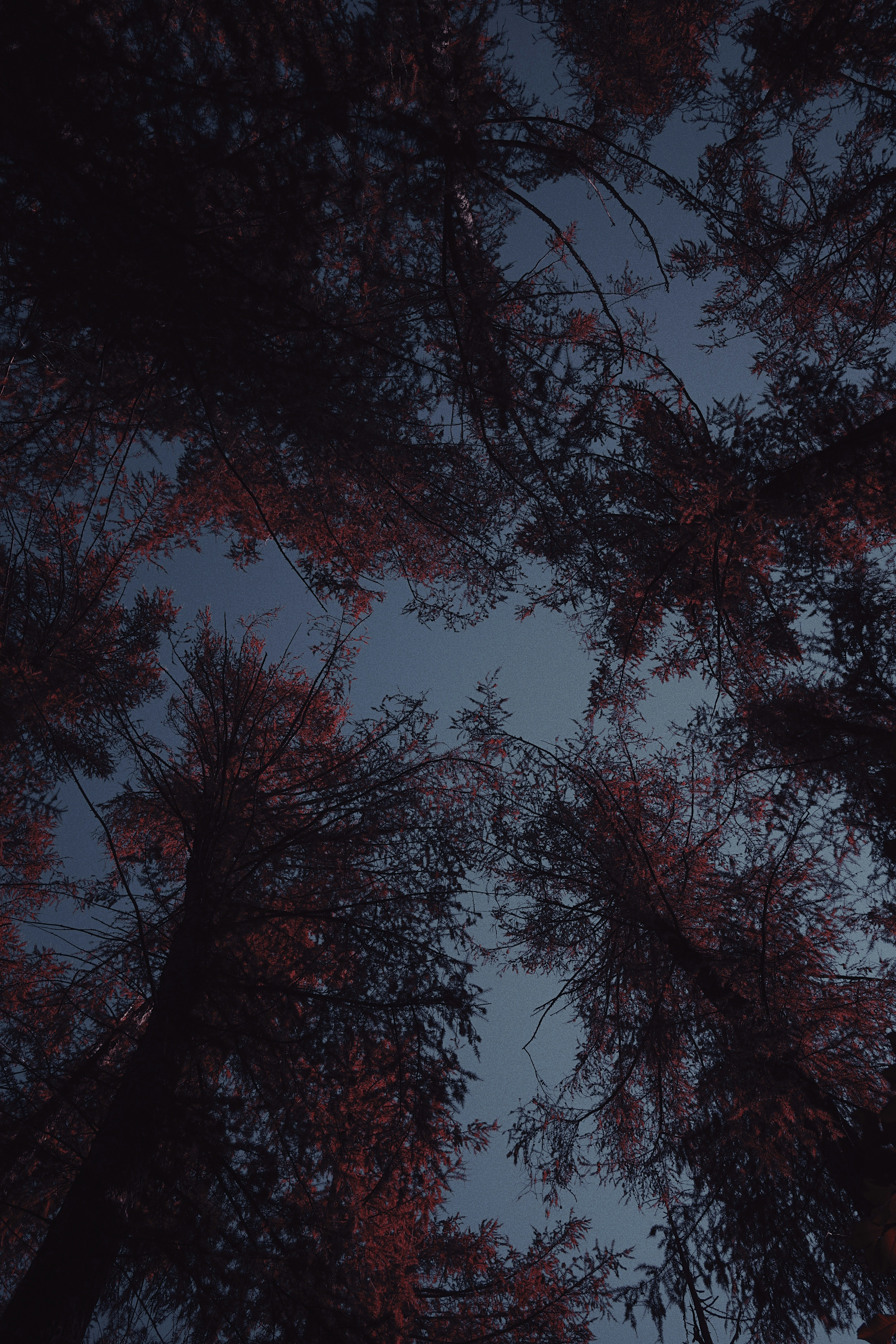 Photo by shklyaevmax