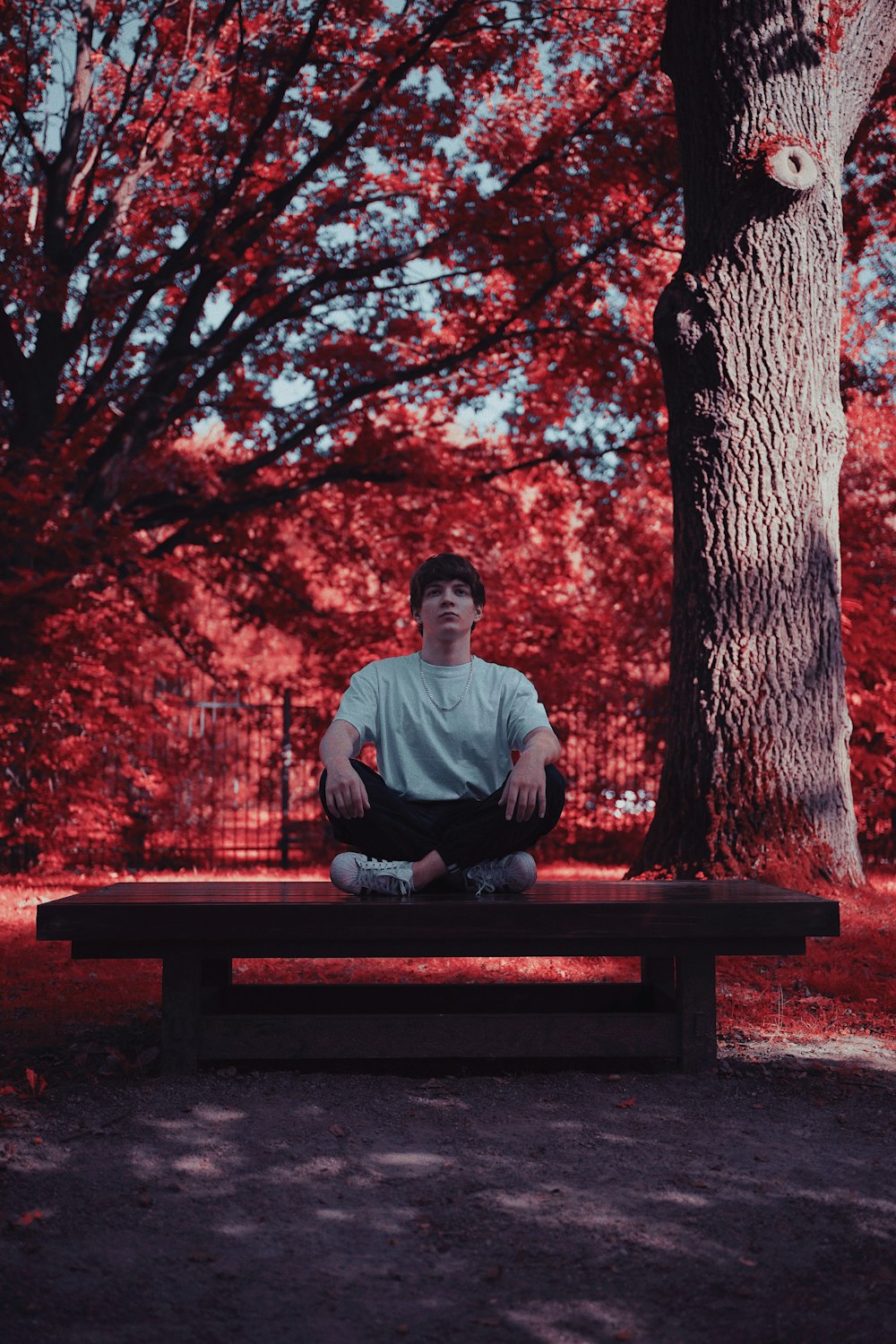 man in gray crew neck shirt sitting on red wooden bench