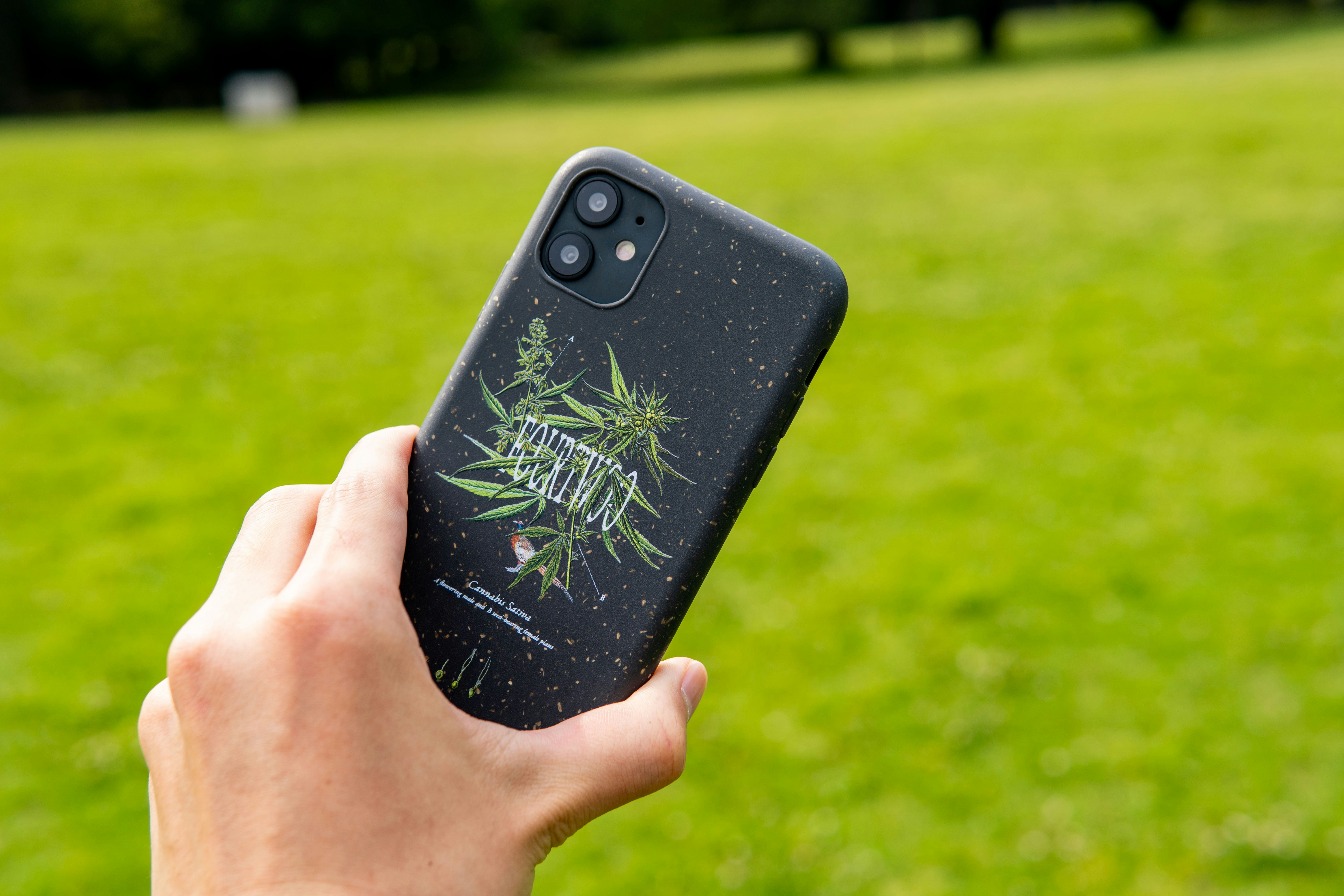 Cannabis Sativa iPhone Case