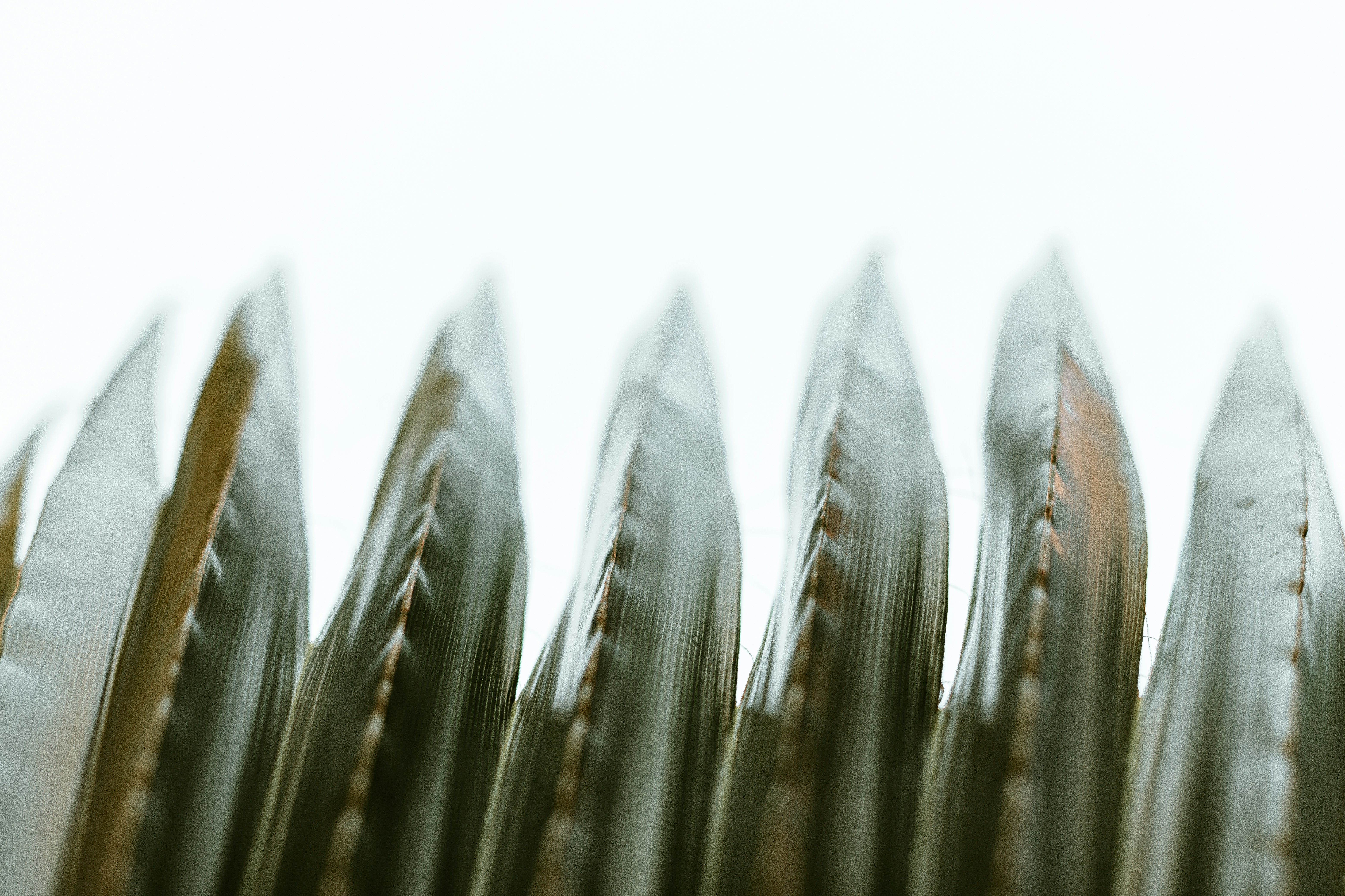 Photo by lizagolyarchuk