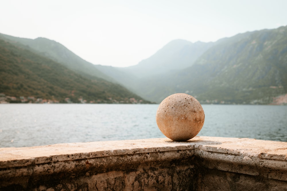 brown round fruit on brown concrete surface near body of water during daytime