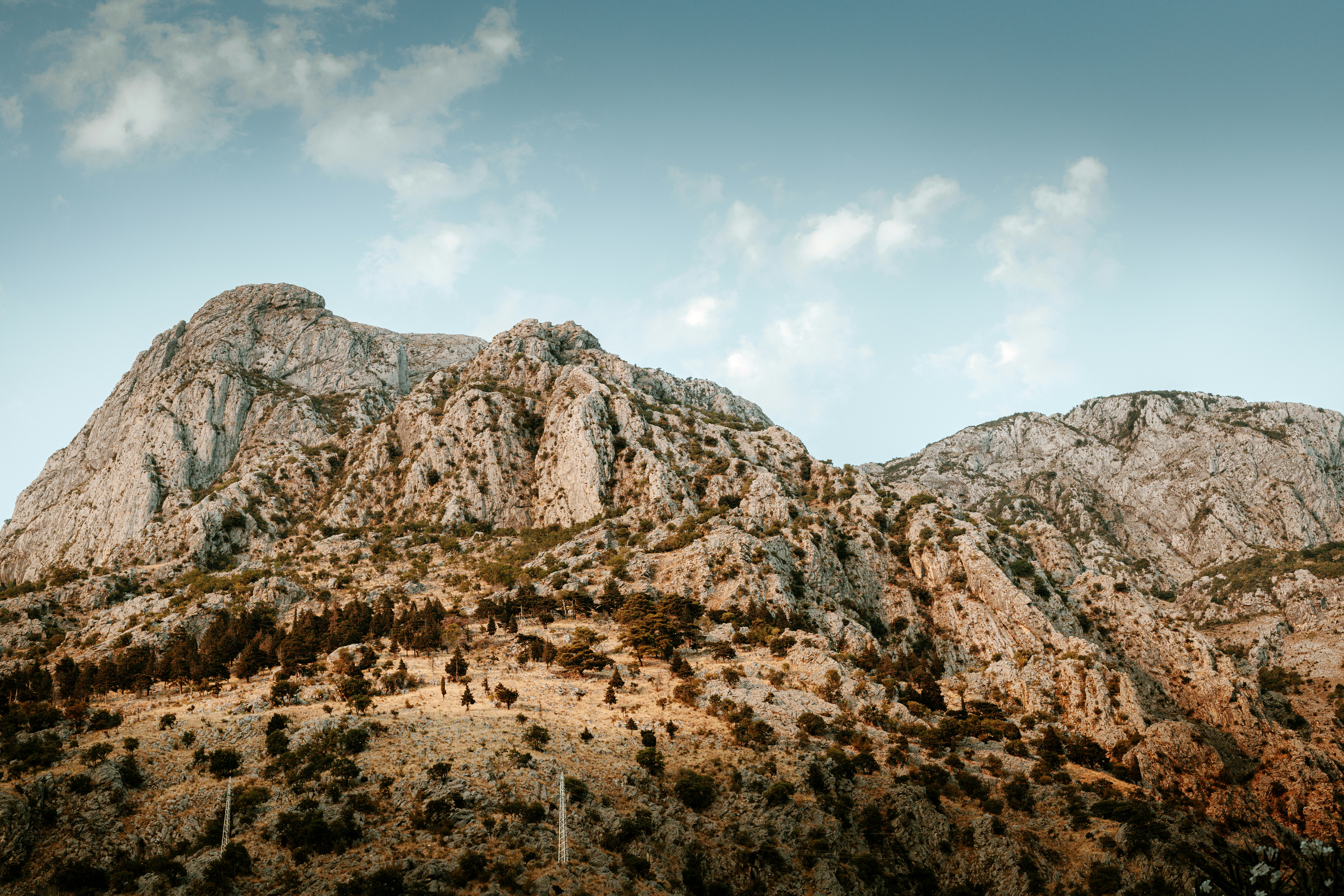 Photo by lizagolyarchuk