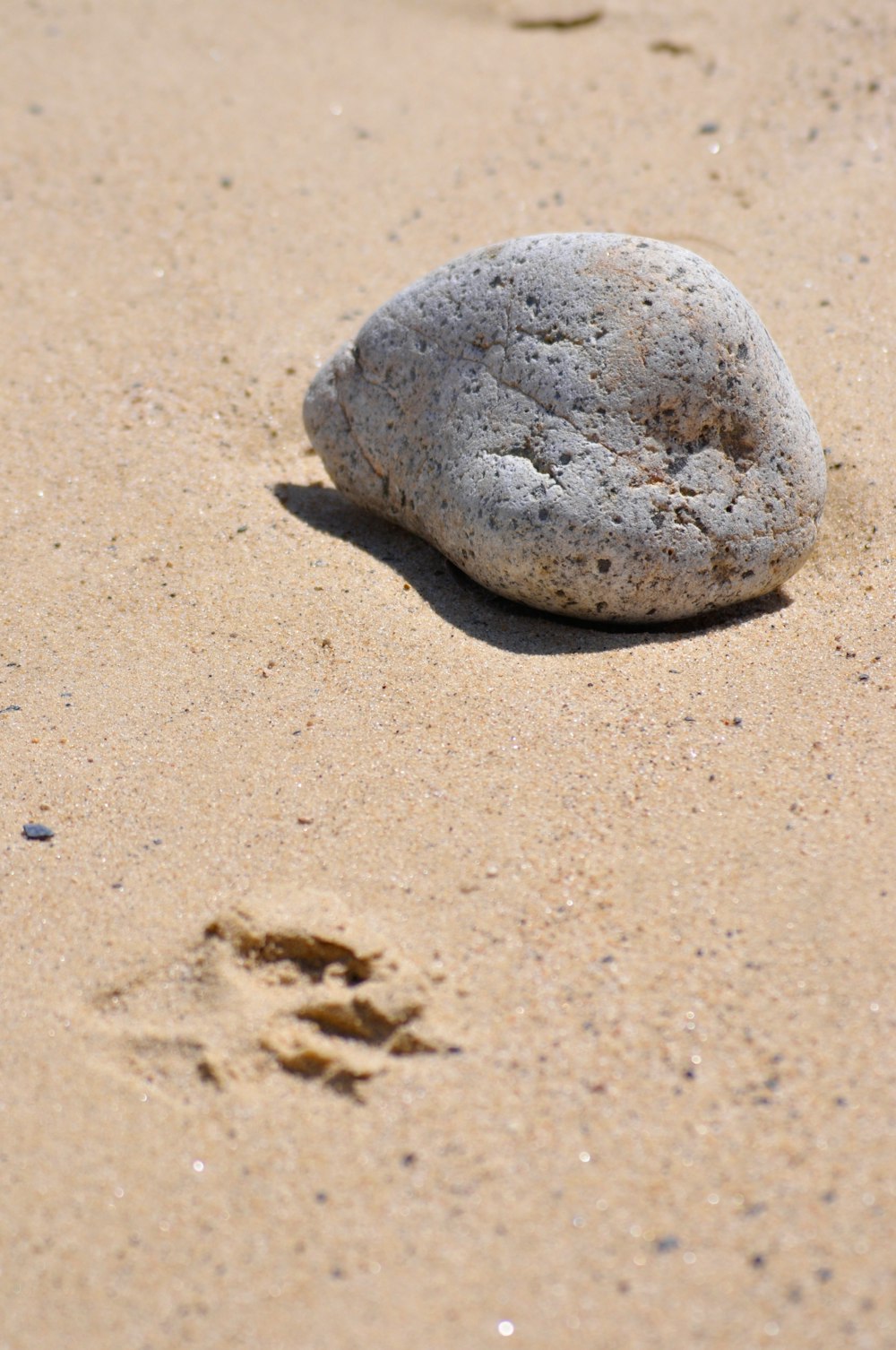 gray stone on brown sand