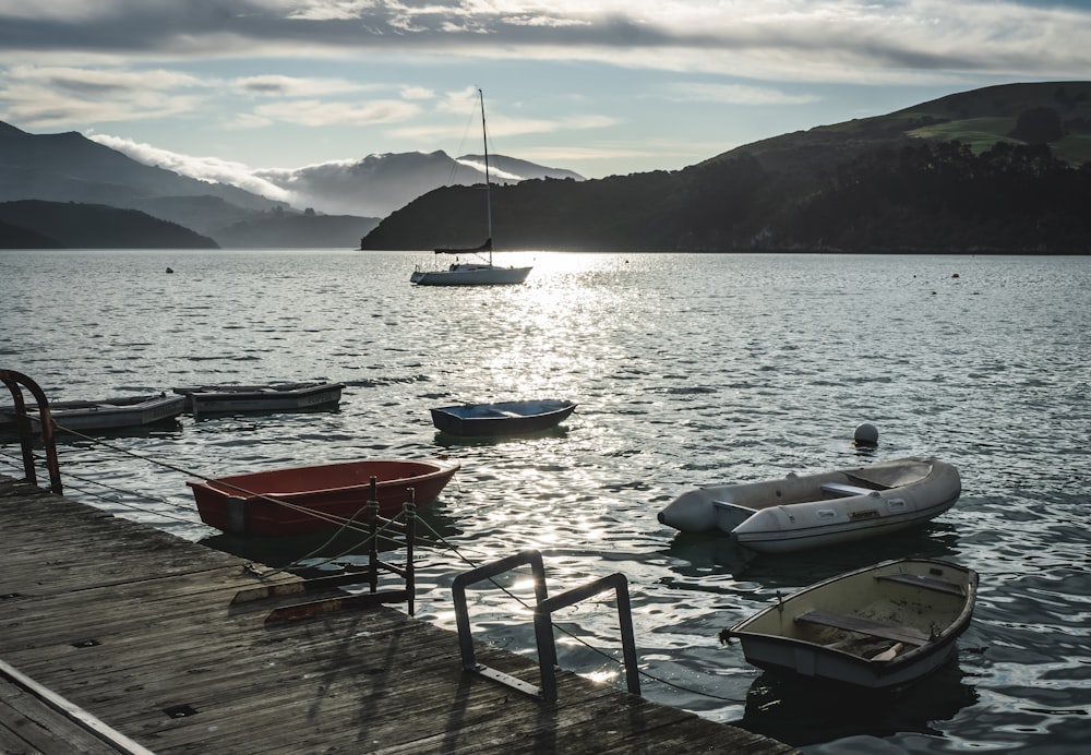 red and white boat on sea dock during daytime