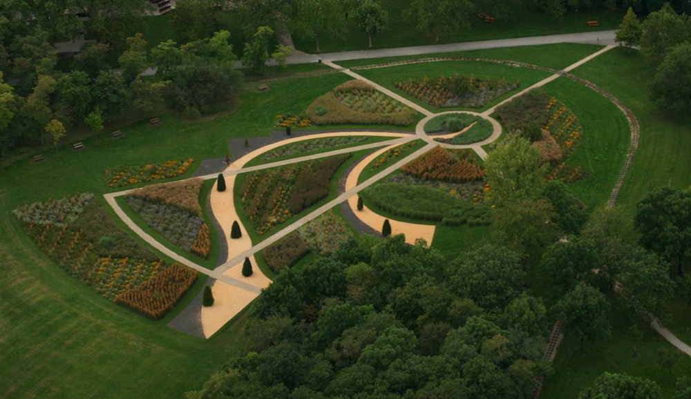 aerial view of green trees and green grass field during daytime