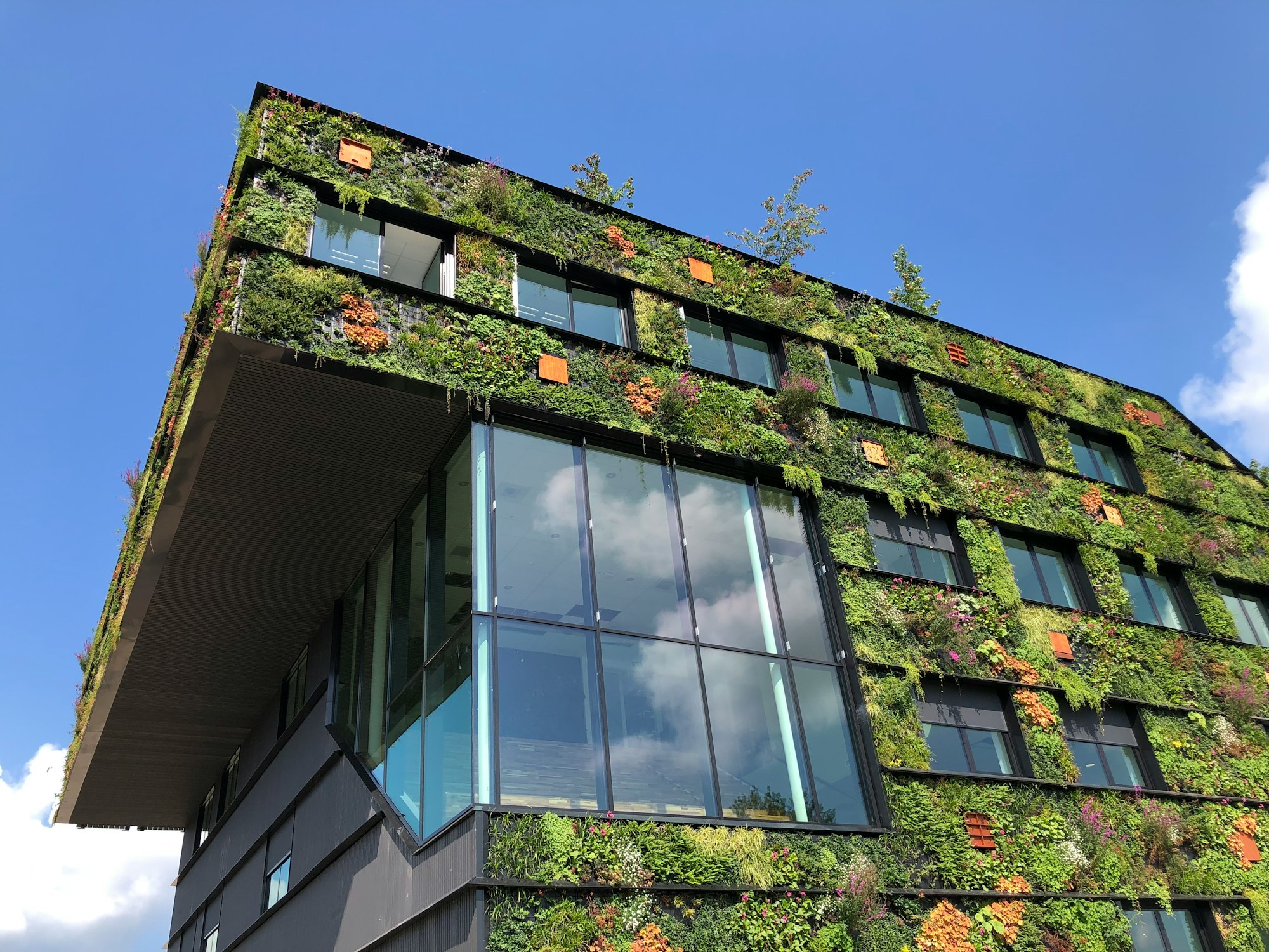 College campus building Aeres Hogeschool Almere. Plants on the inside and outside!