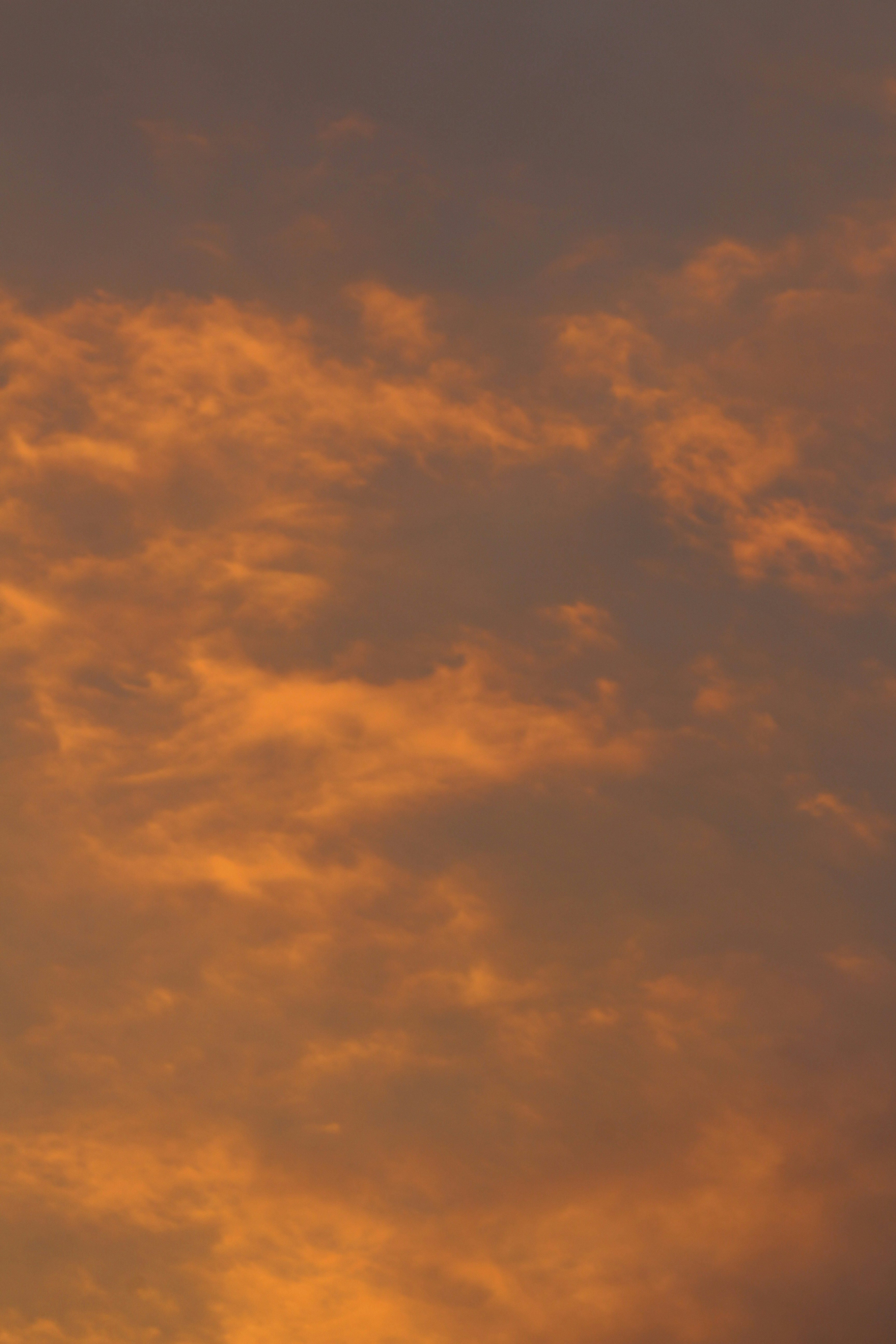 Photo by imtinapastore