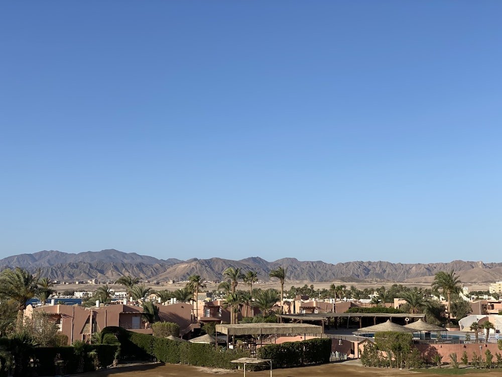 green trees and houses under blue sky during daytime