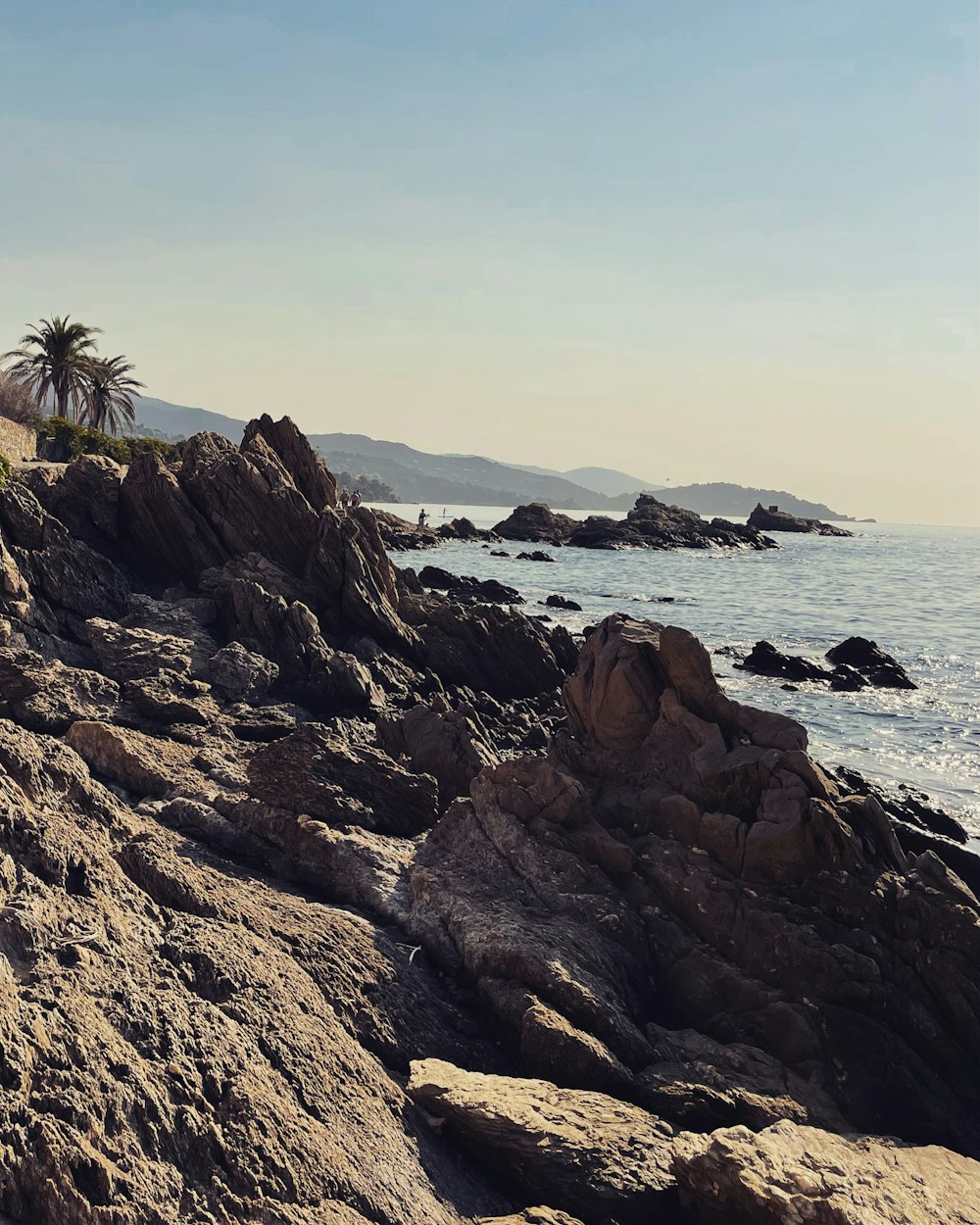 brown rocky shore with green palm trees and body of water in distance