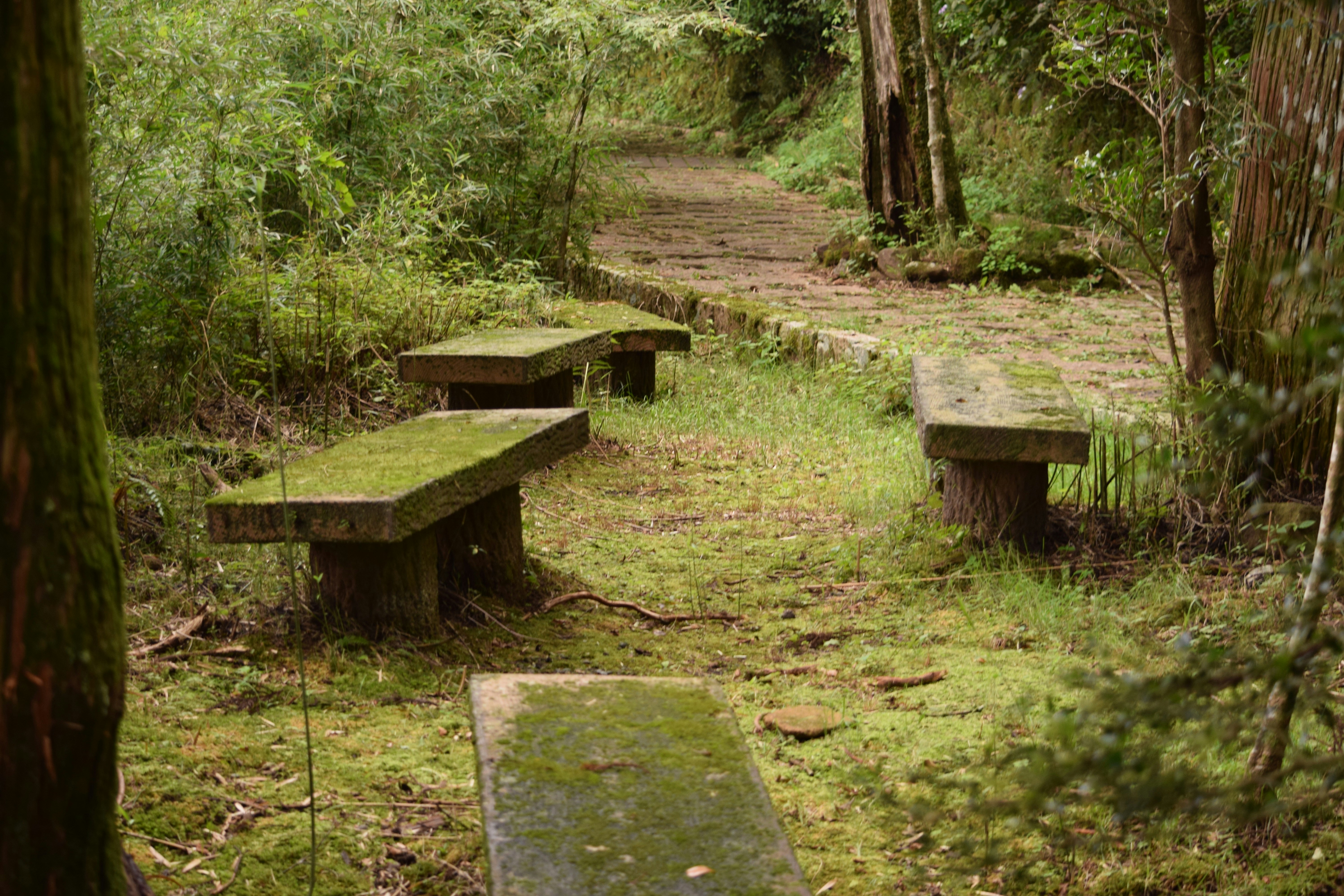 Optimist Gazeebo Park