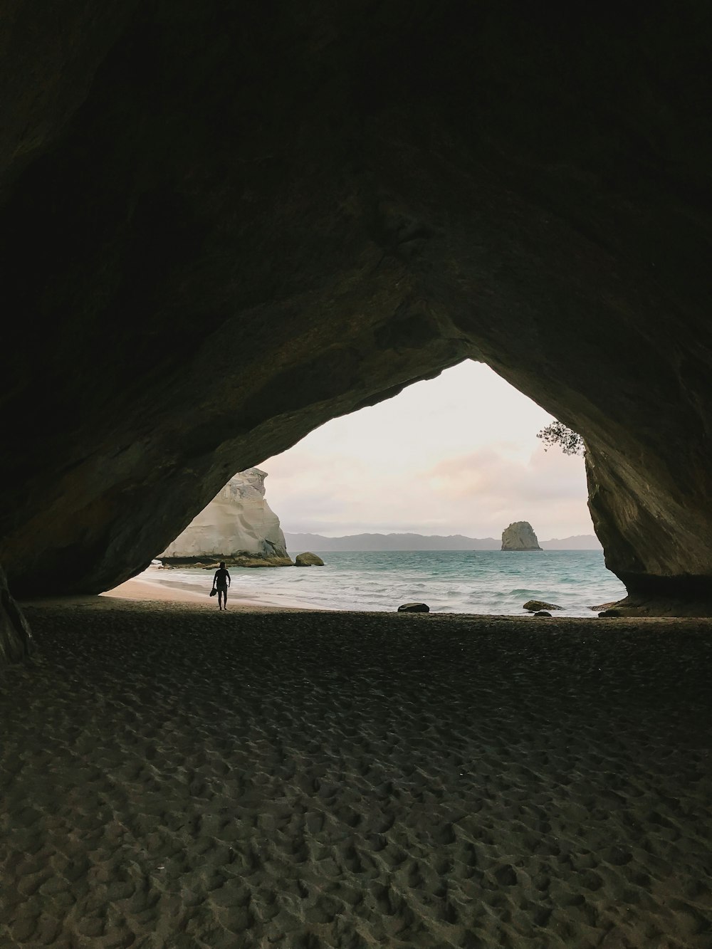 people on beach during daytime