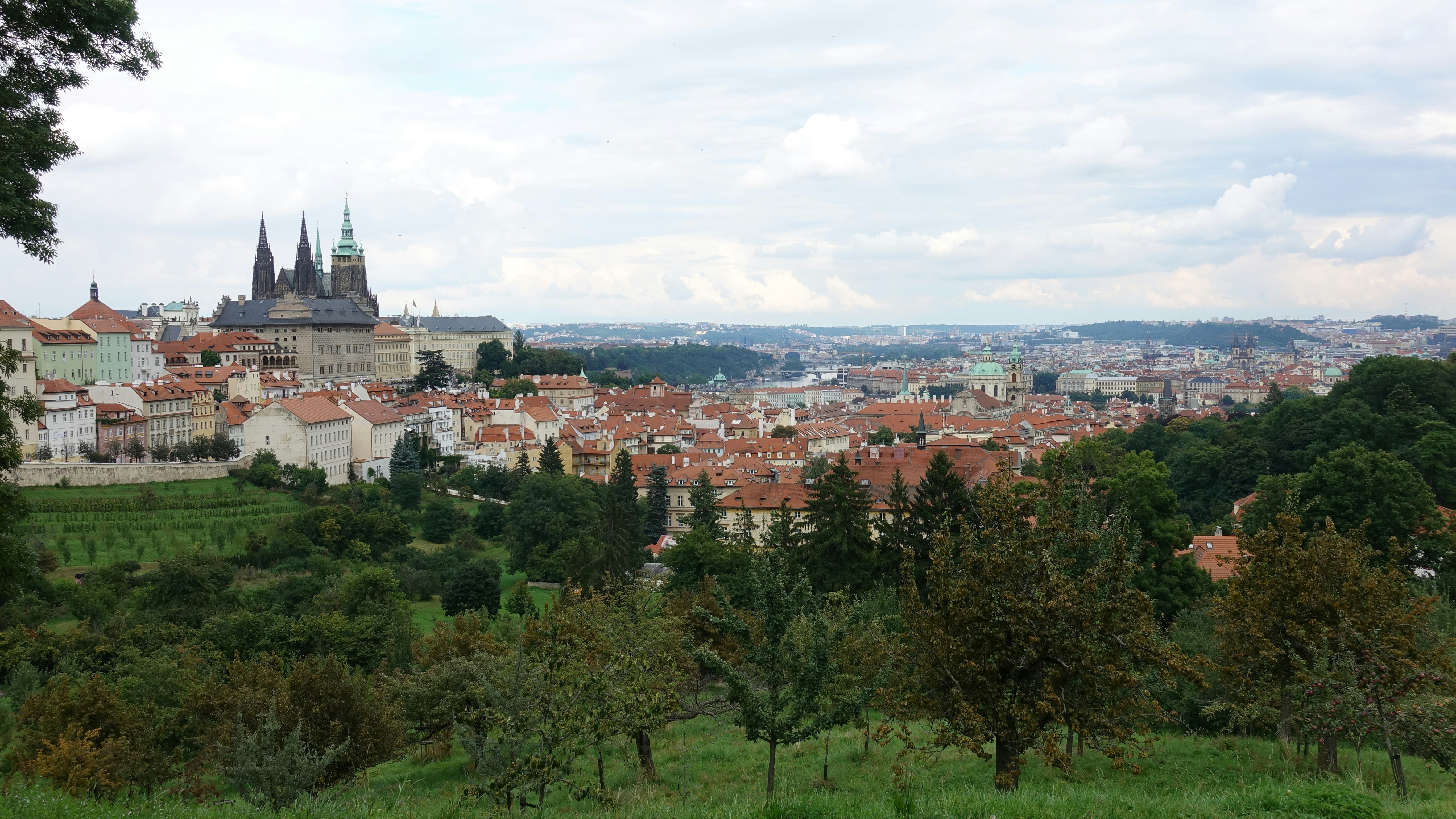 aerial view of city during daytime, 