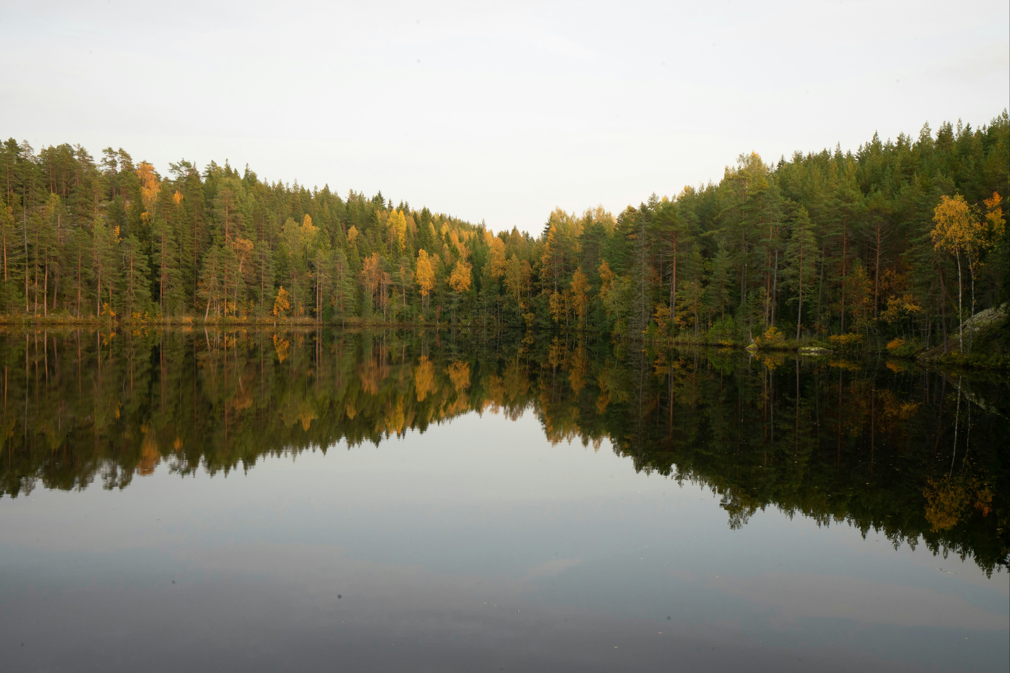 Photo by datingjungle