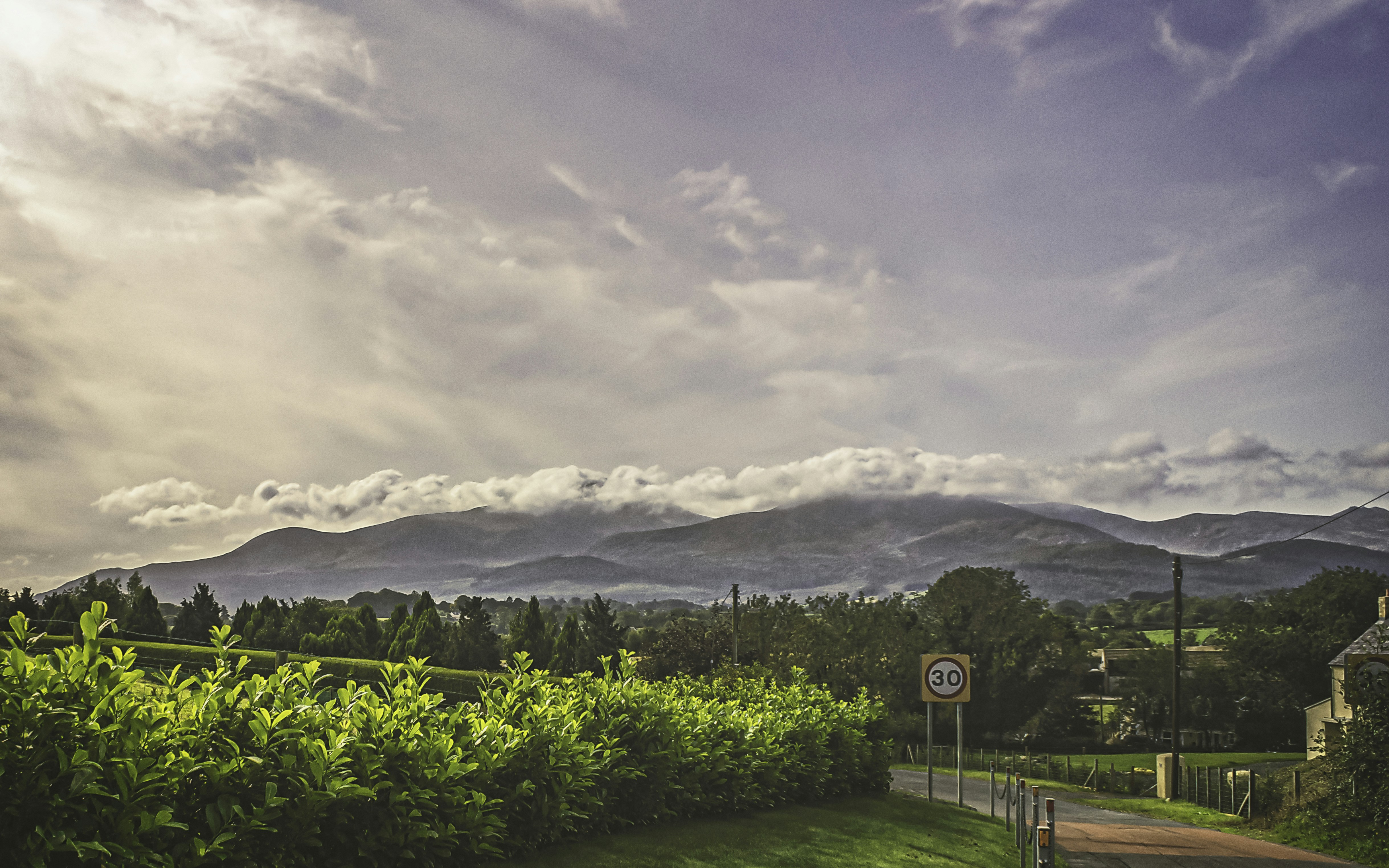 Ireland's Vineyards Grow as Climate Shifts North