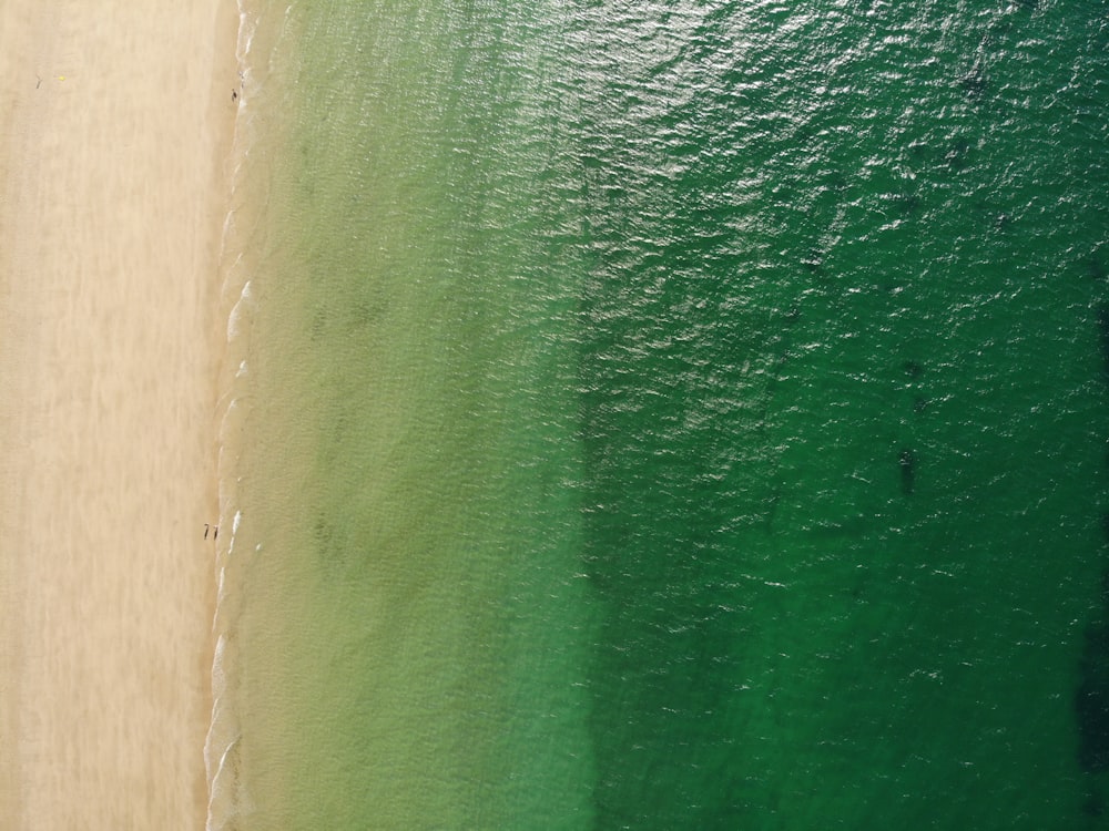 Green Body Of Water During Daytime Photo Free Grey Image On Unsplash