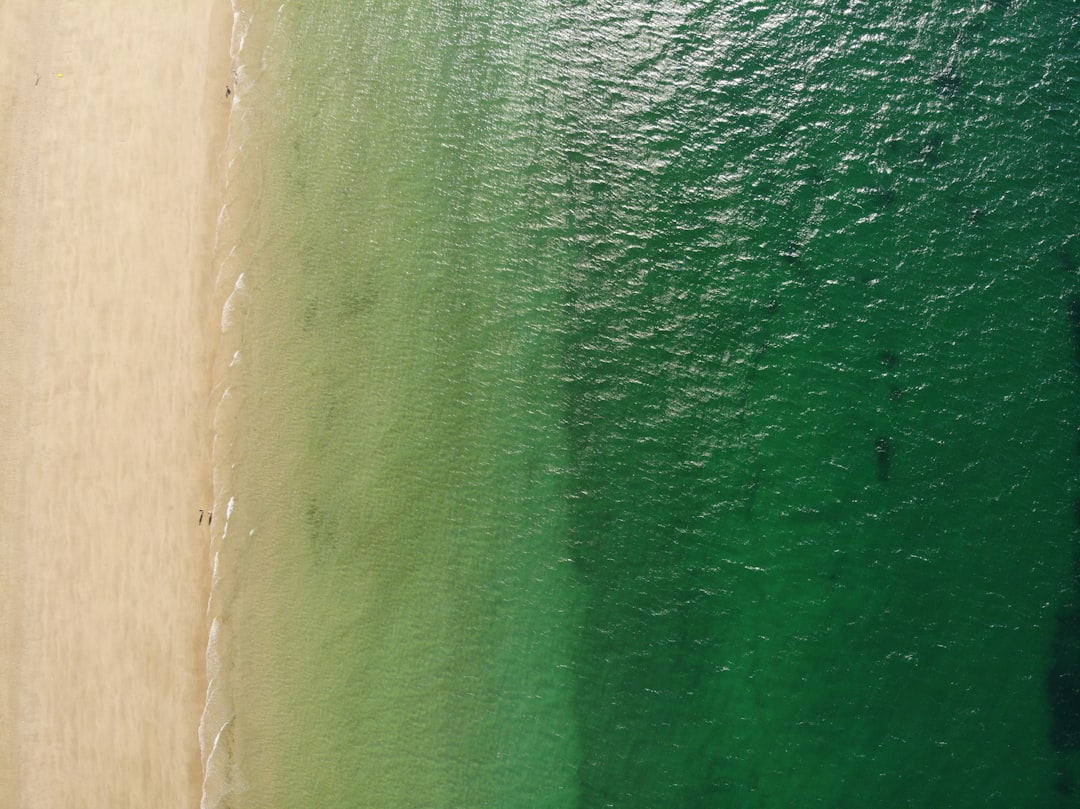 green body of water during daytime