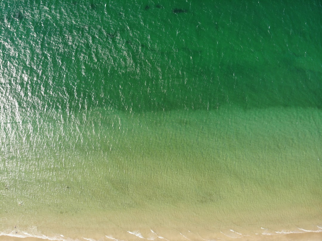 green and white body of water