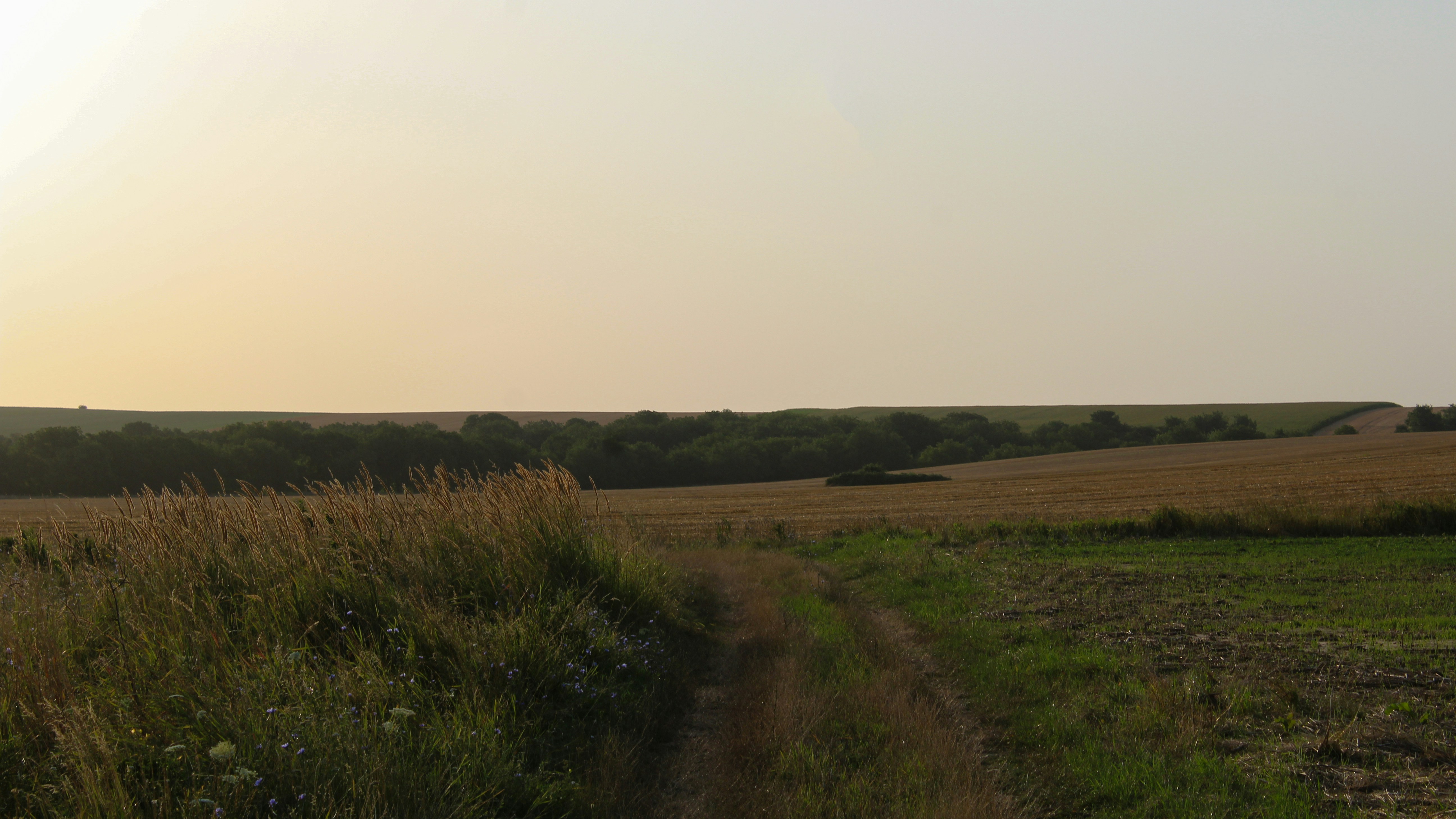 Photo by czapp_botond