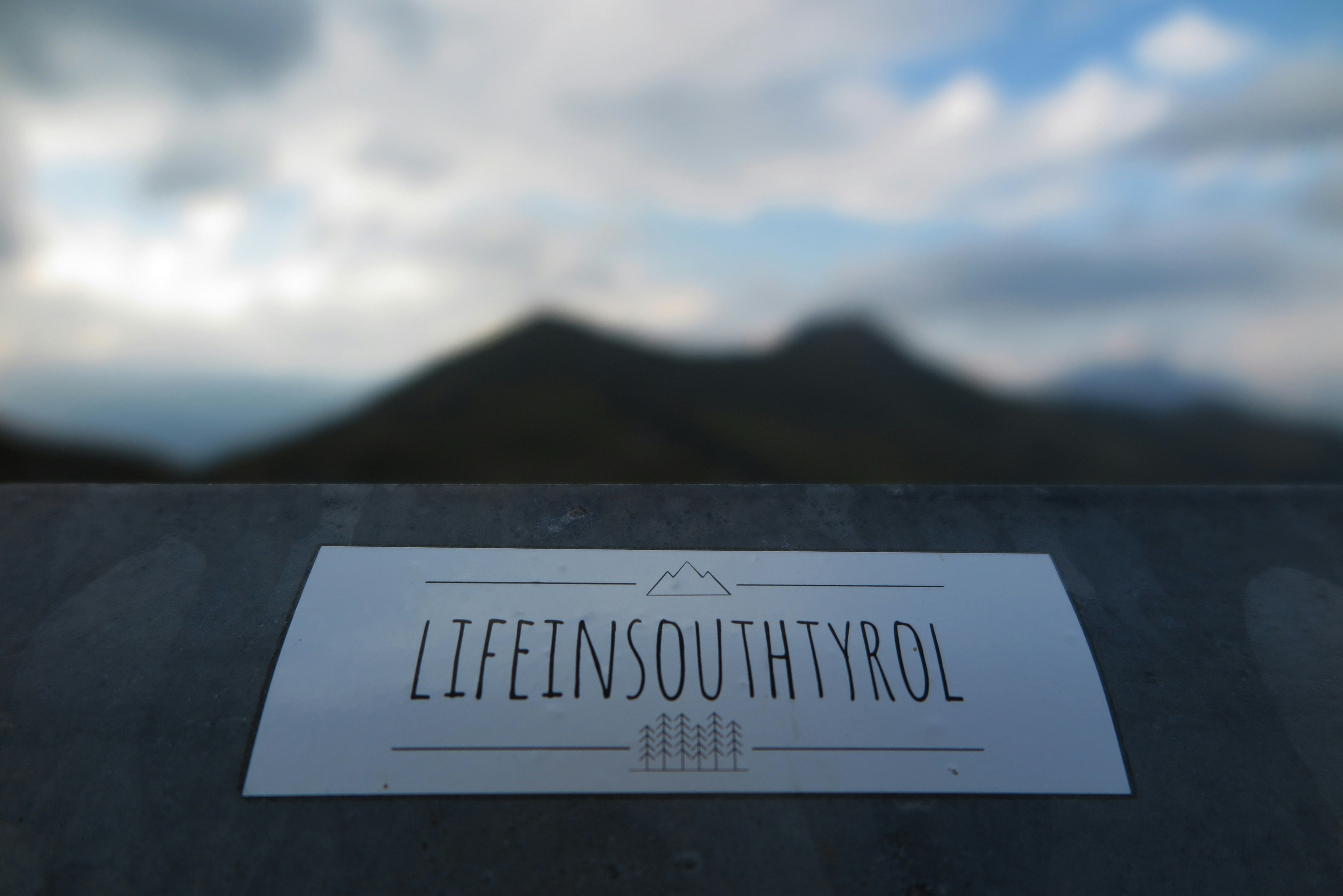 black and white the north face