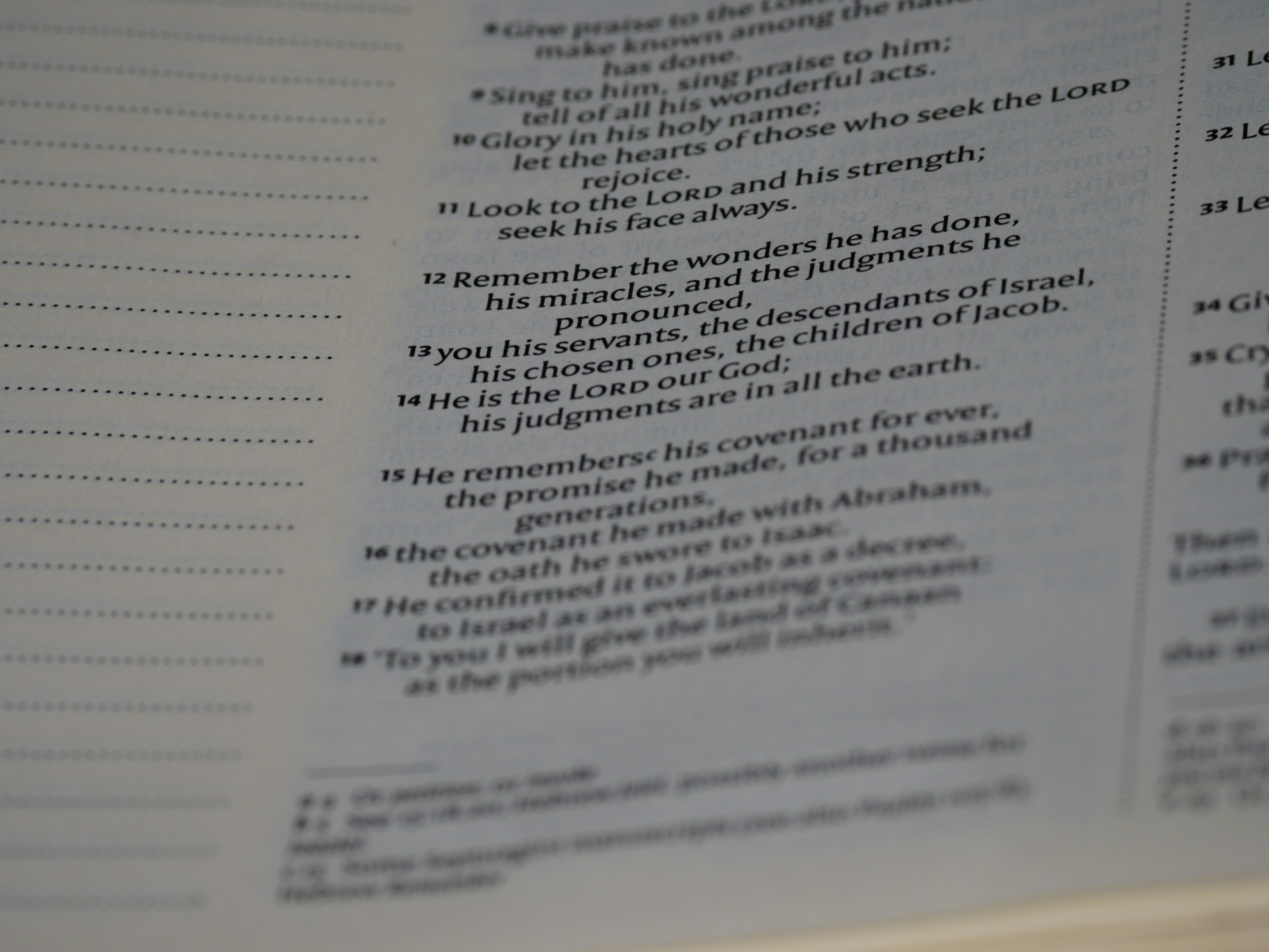 Photo by brett_jordan